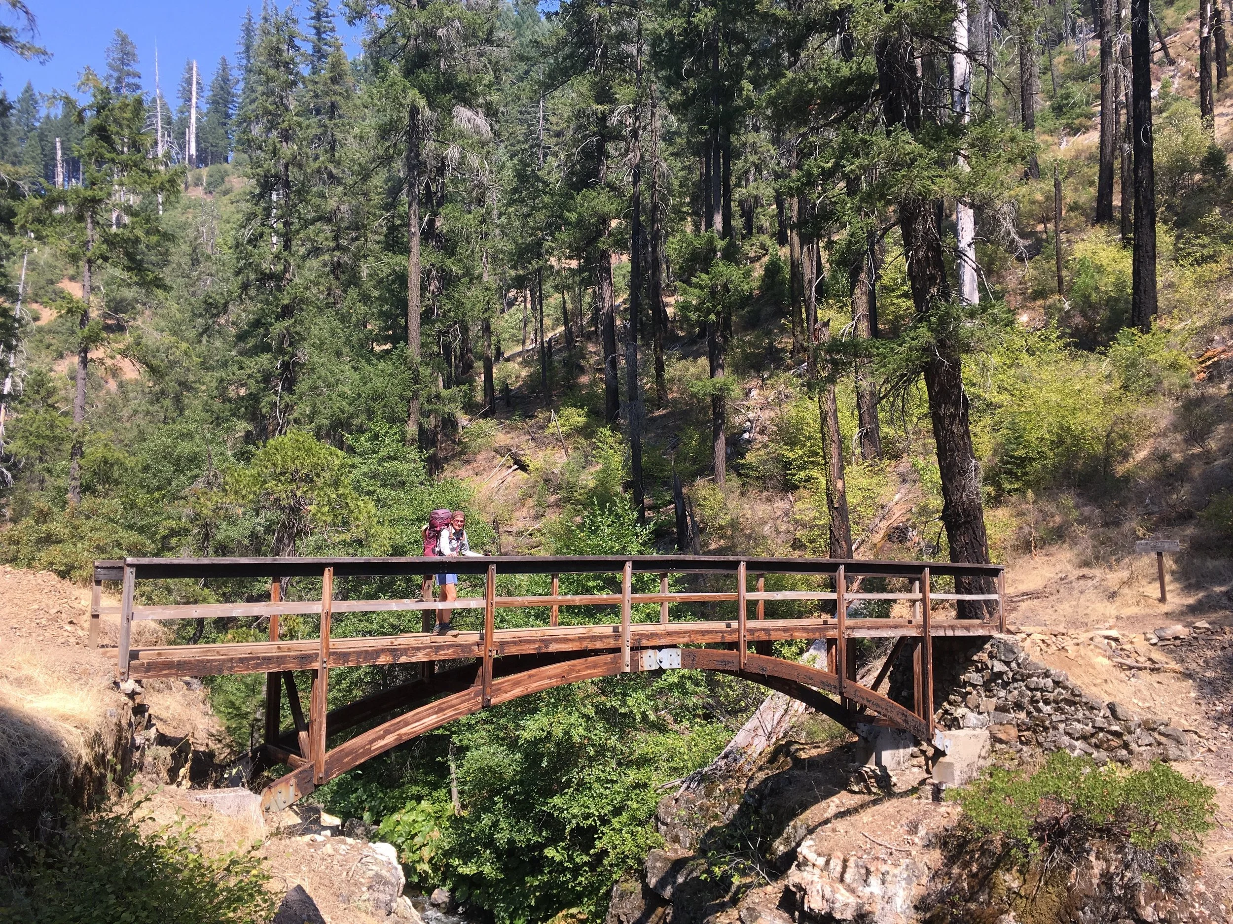 Huckleberry on the bridge over Squaw Valley Creek.