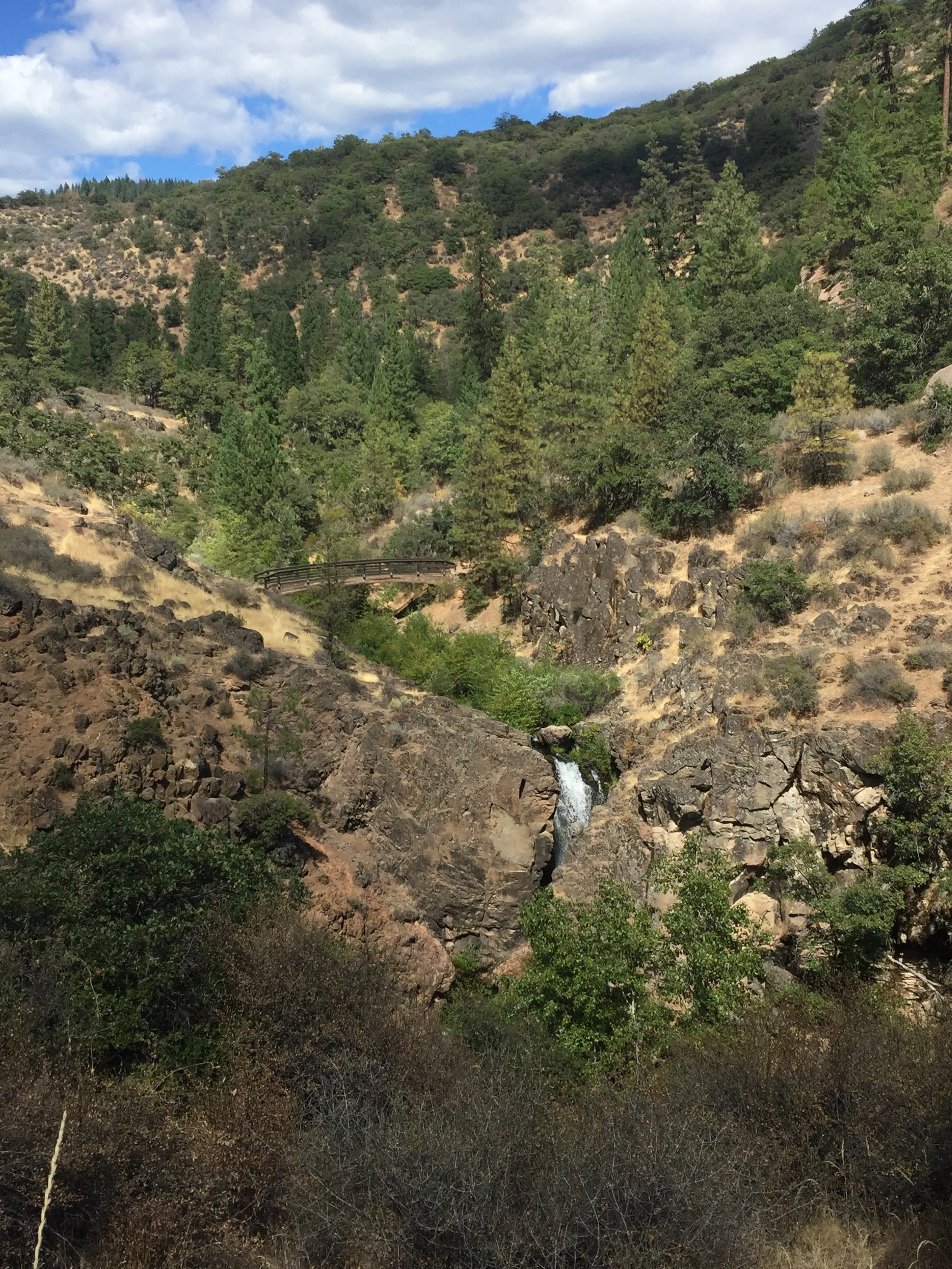 Our first view of Rock Creek and its cascades