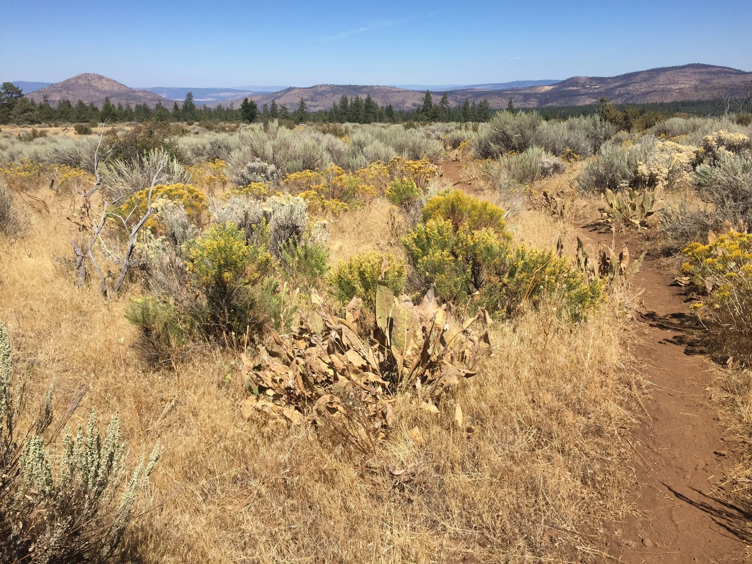 Hat Creek Rim