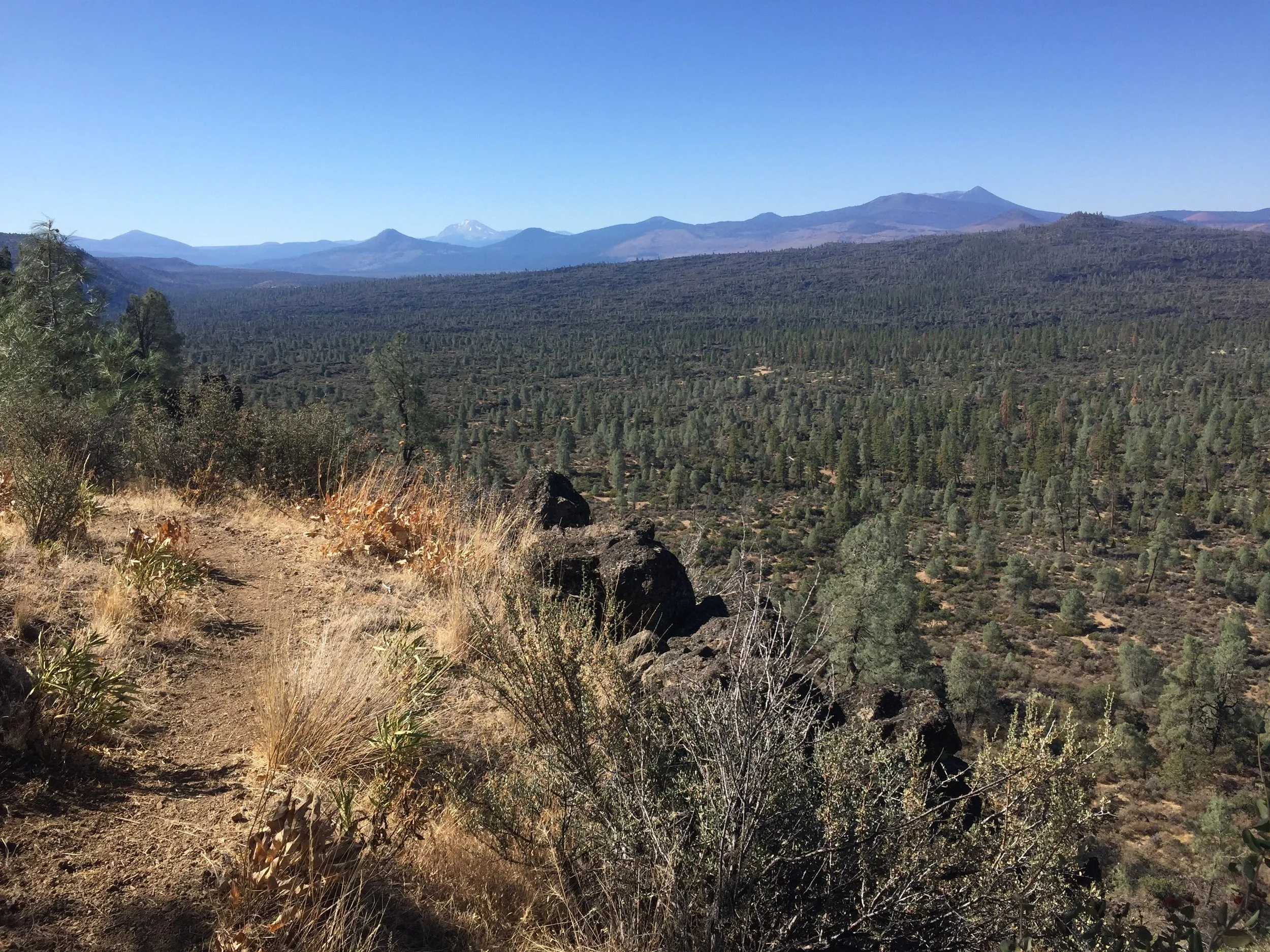 Climbing up the Hat Creek Rim's black lava edge, with a view of the Gray pine forest below