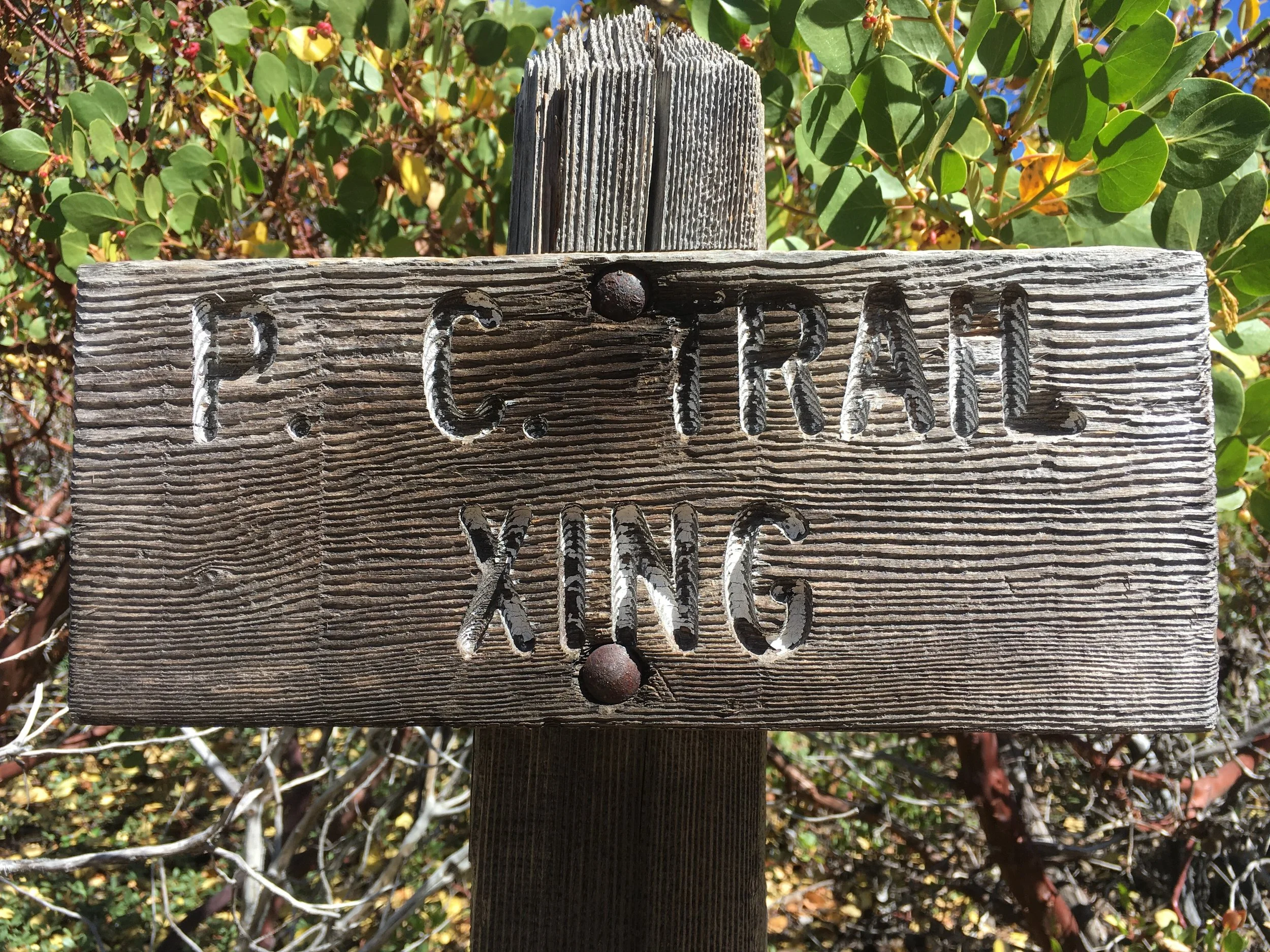 PCT or PC trail? Either way, we are approaching the ½ way point and are excited!