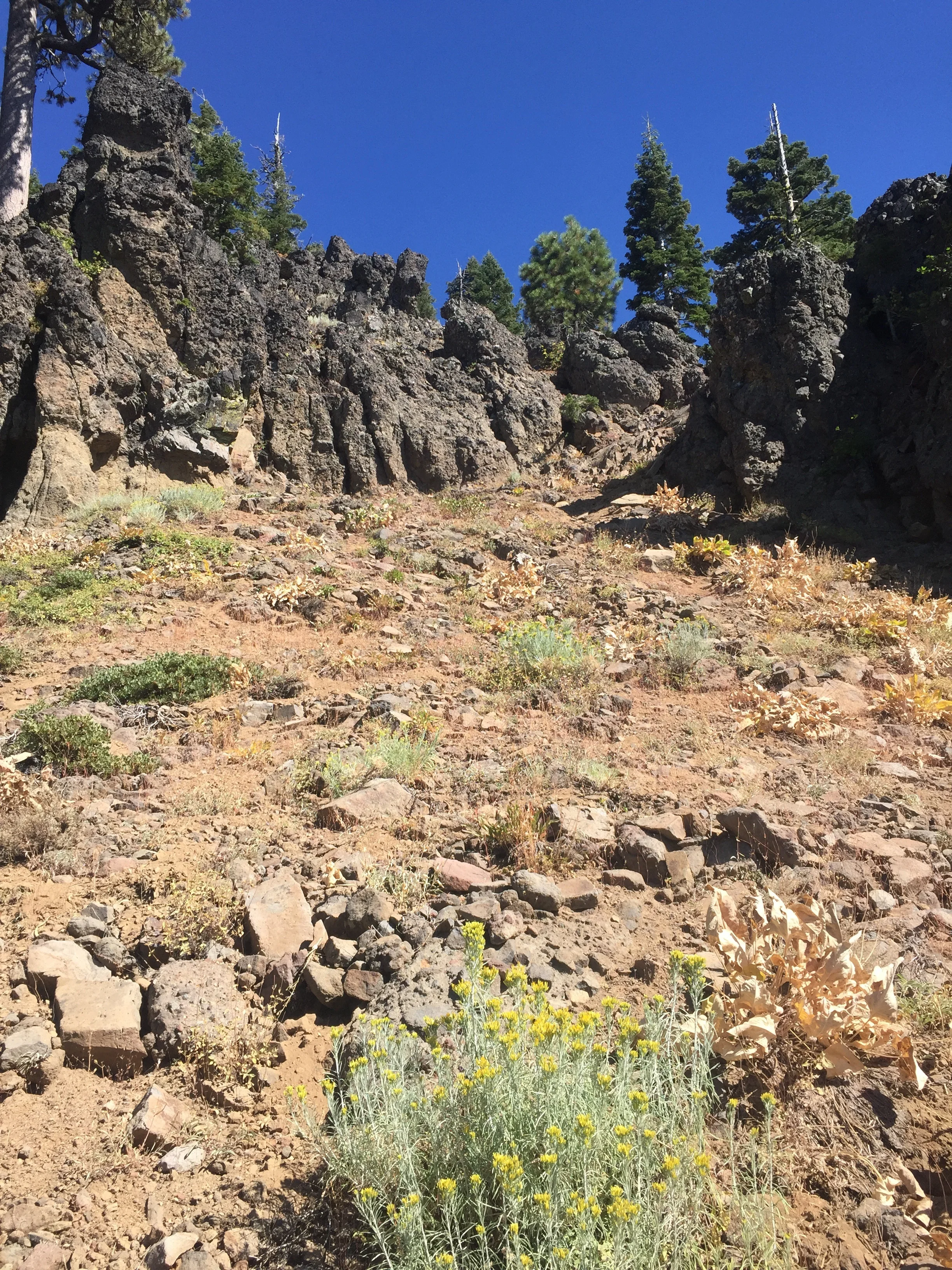Sage, pale sand, and dark volcanic pillars
