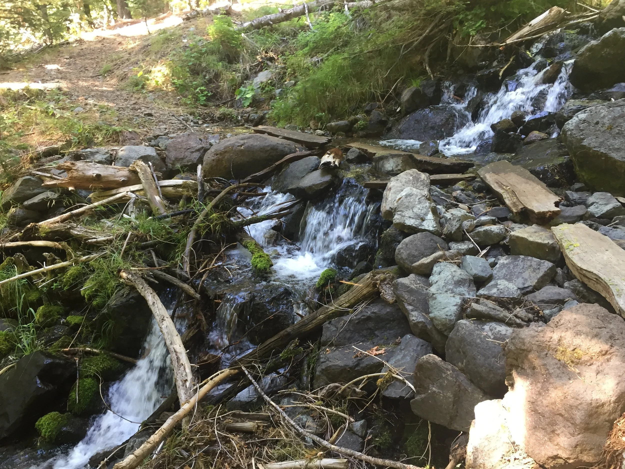 One of many creeks on the way to the Feather River Canyon