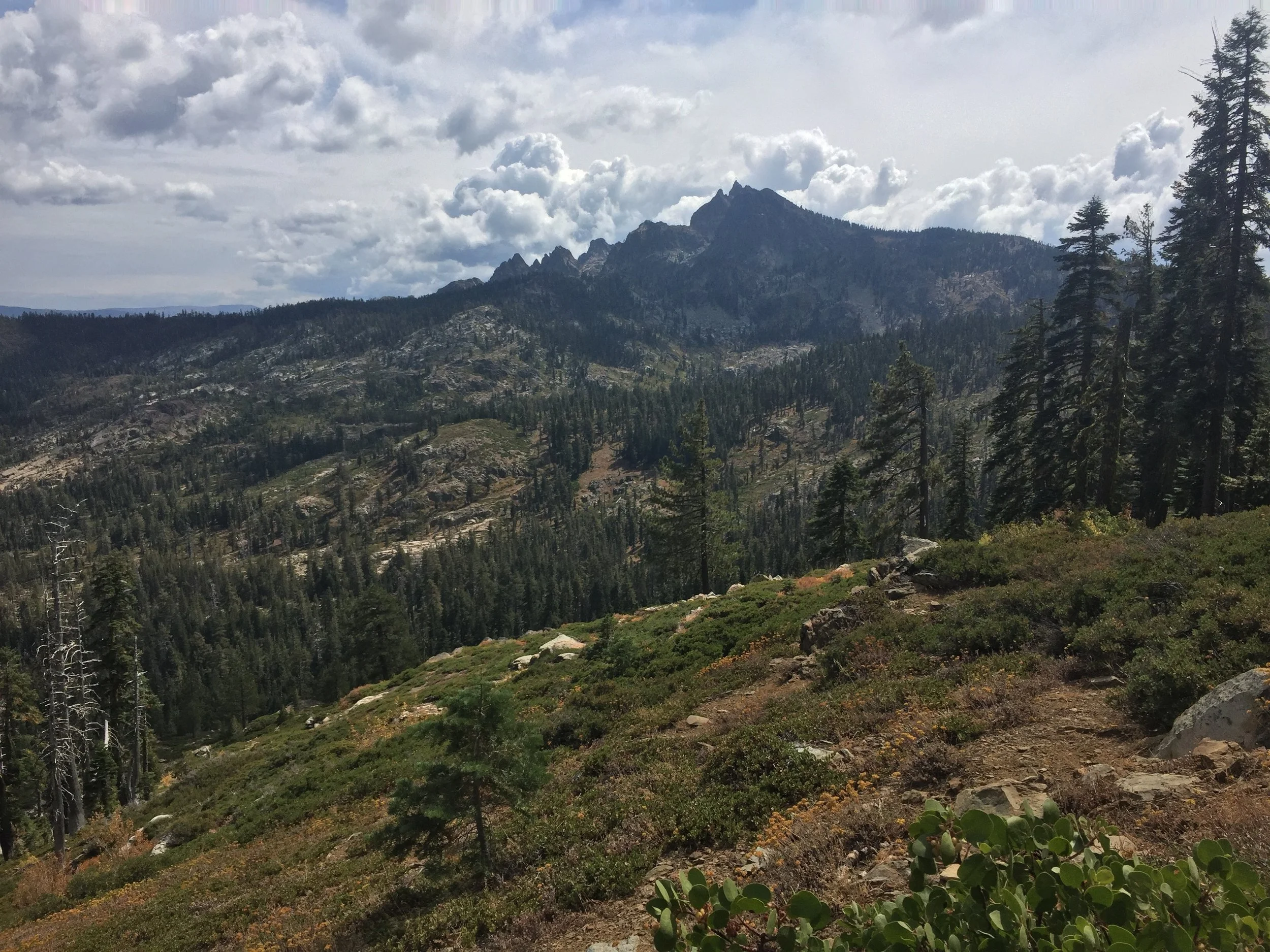 The Sierra Buttes have been getting closer all day