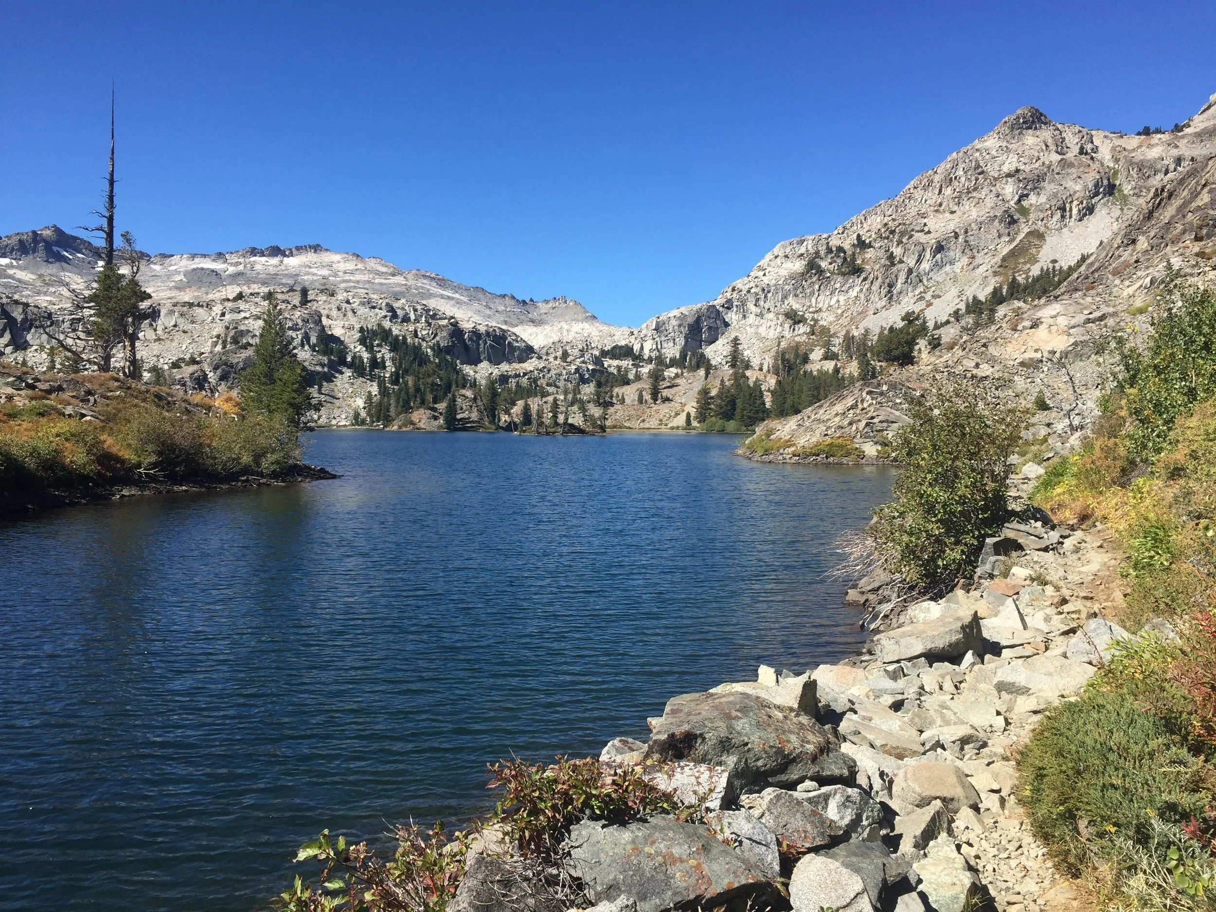 Susie Lake
