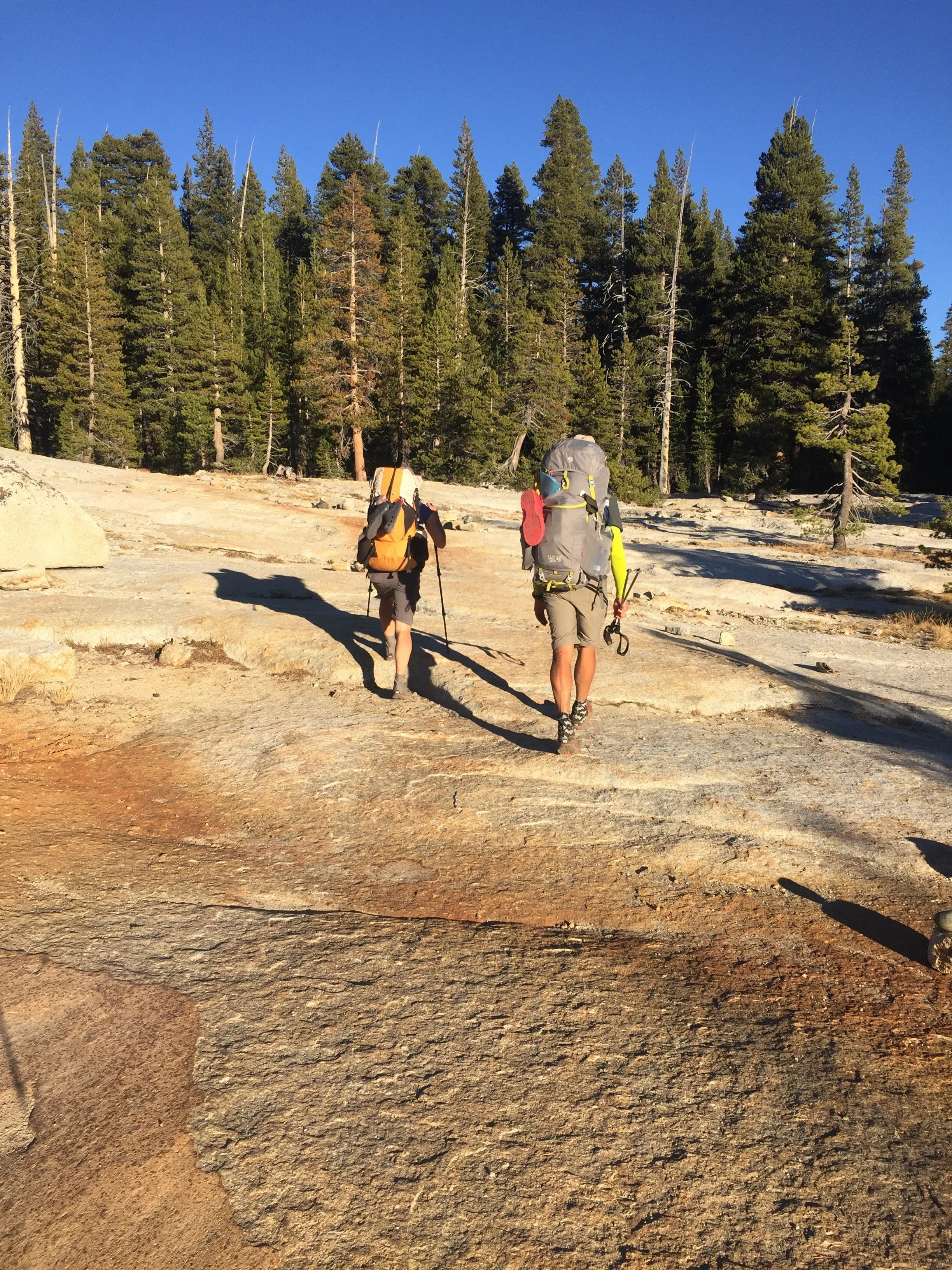 So much granite as we near Tuolumne Meadows in the late afternoon (Cookie & Macro)