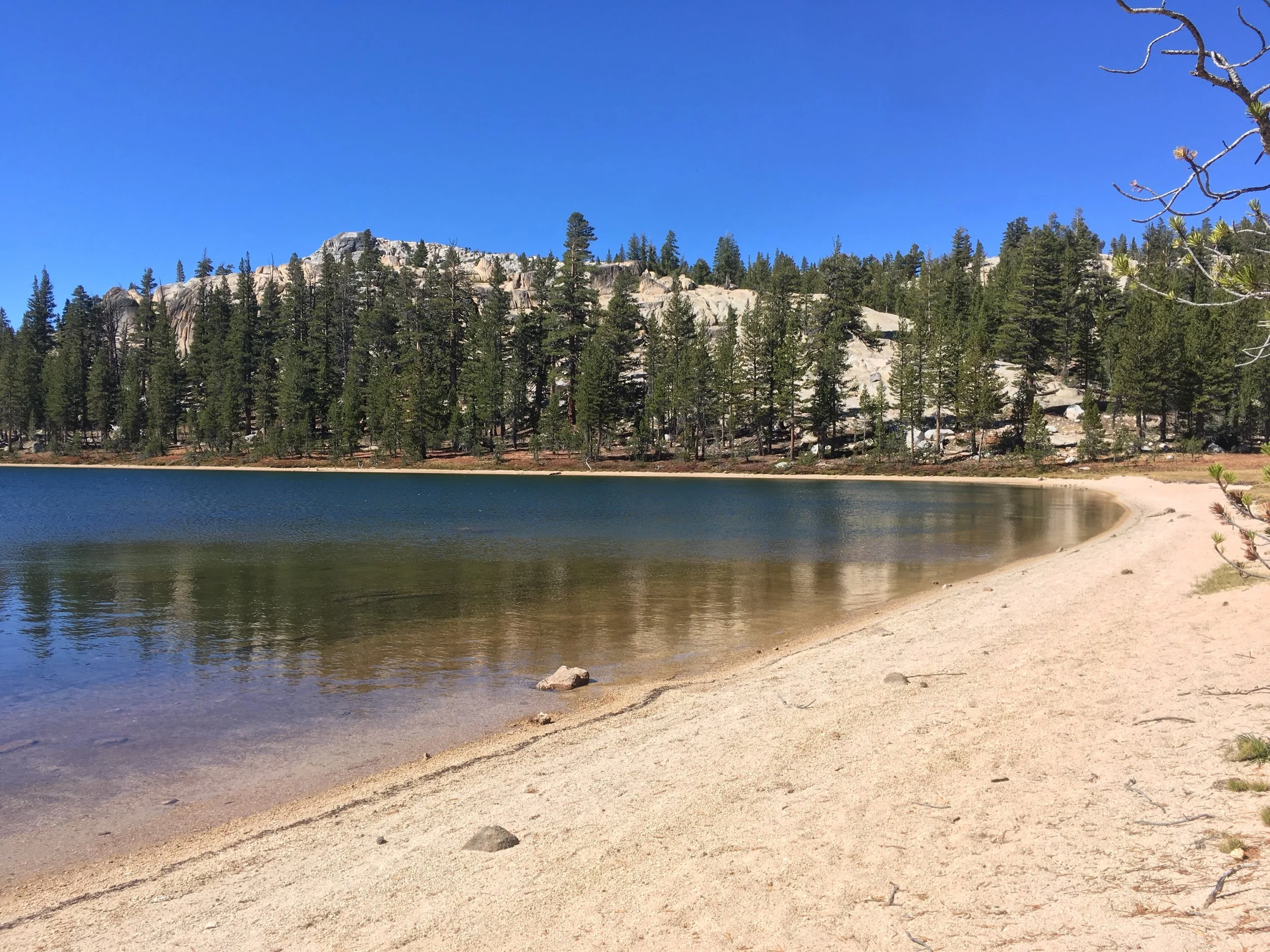 Miller Lake made a pleasant lunch spot between Matterhorn & Cold canyons in northern Yosemite