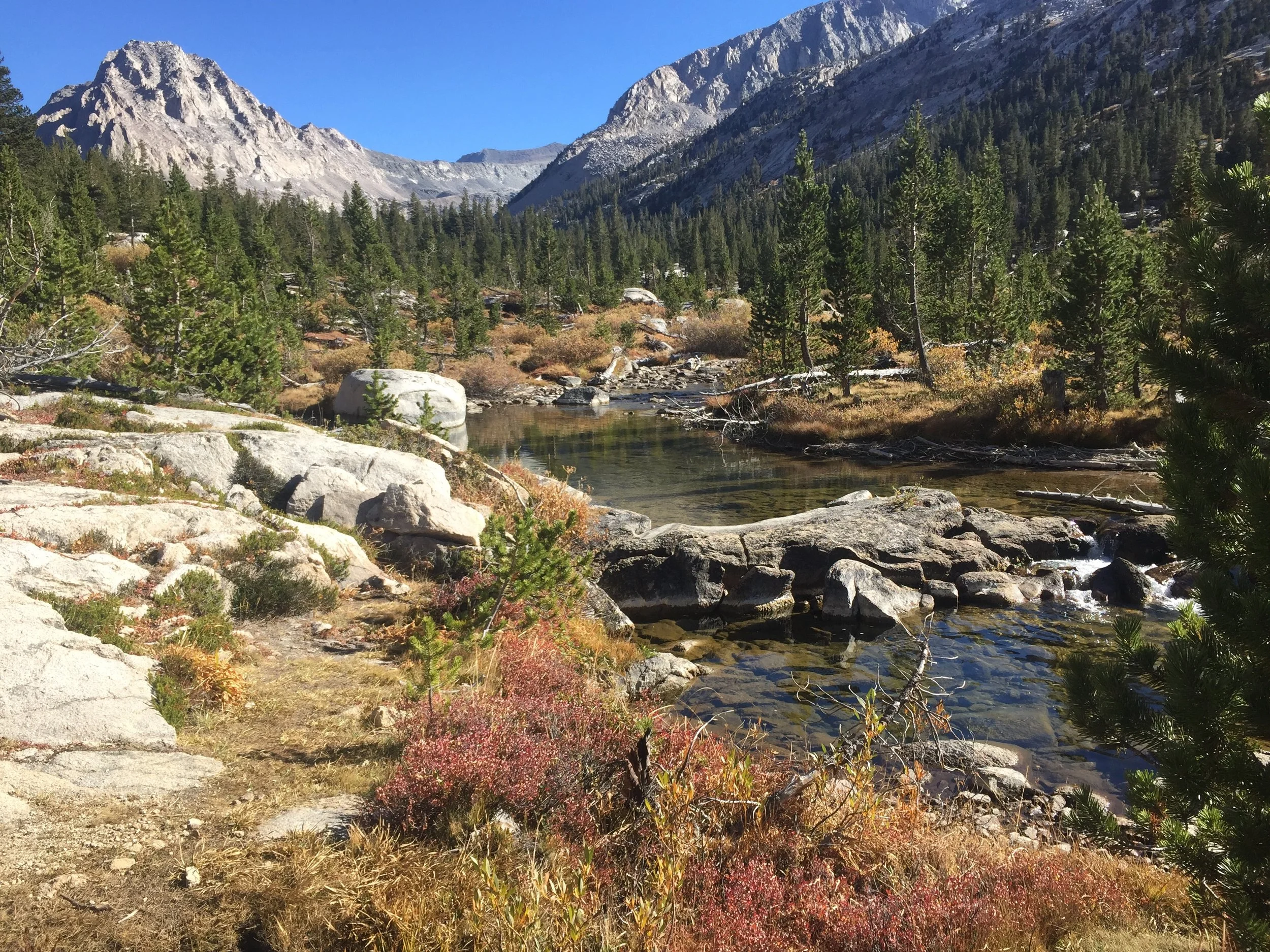 Into the Home Stretch of our Home Range