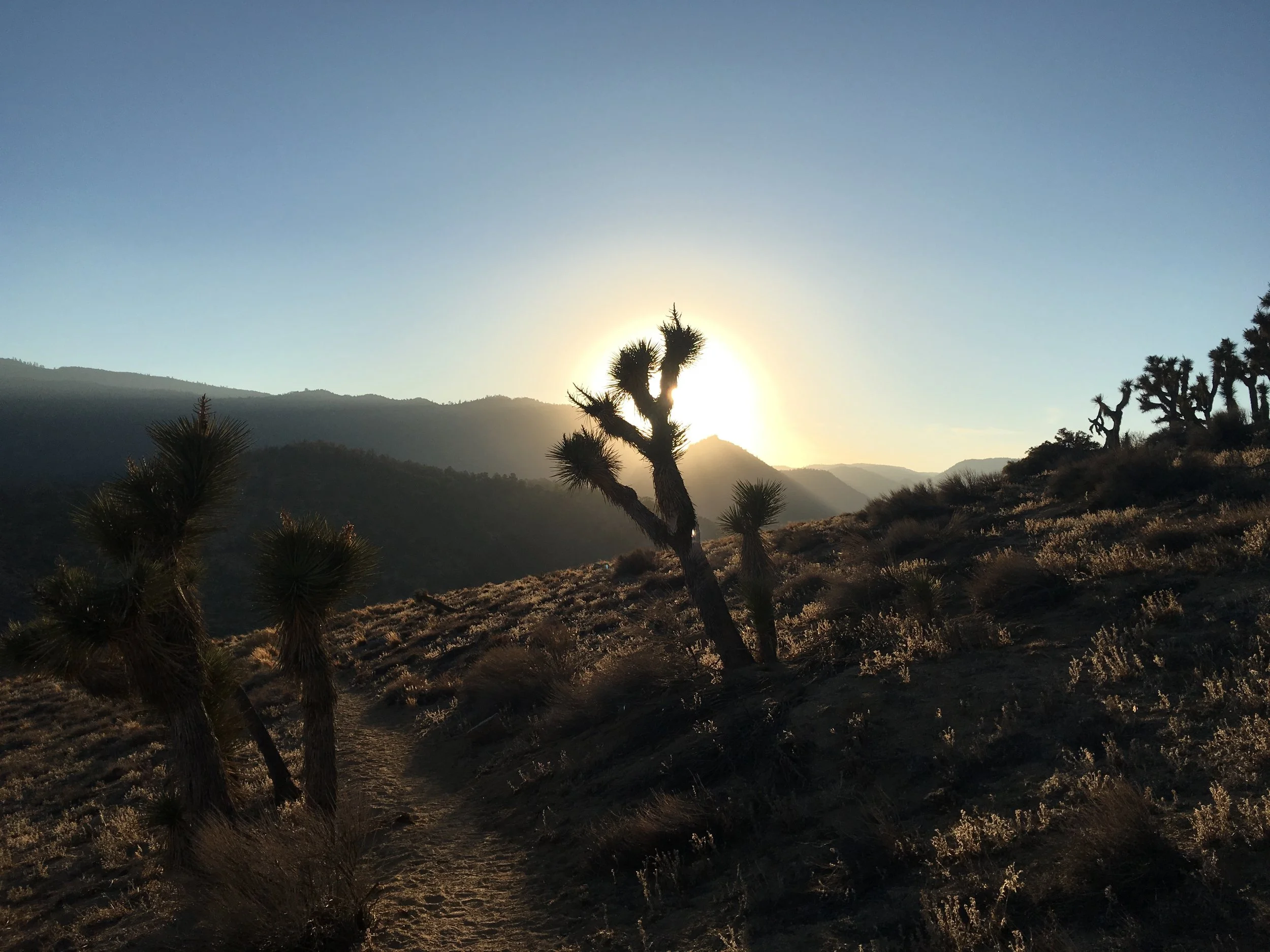 Strangers In a Strange Land