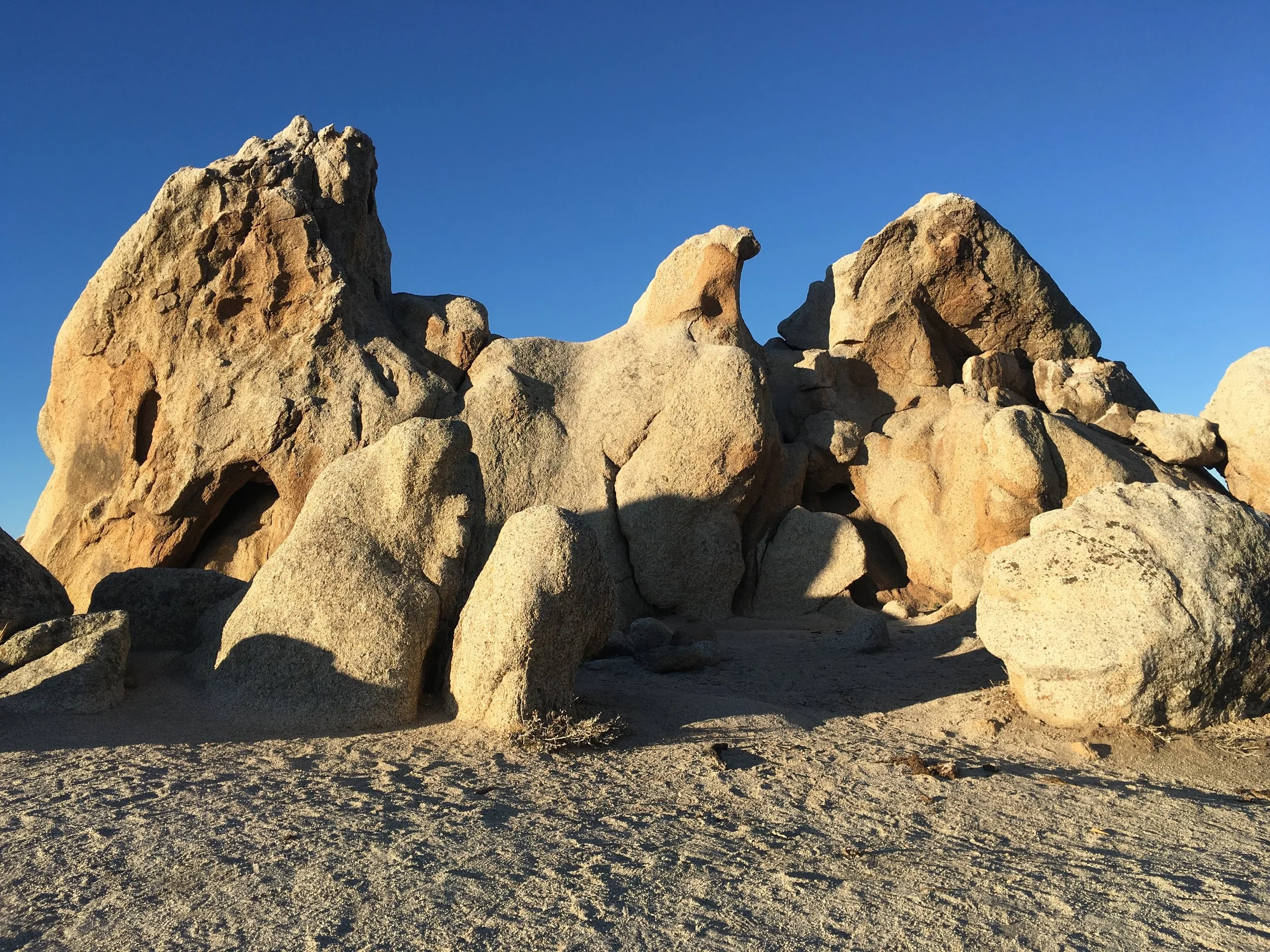 The Golden Desert and Silver Shadows
