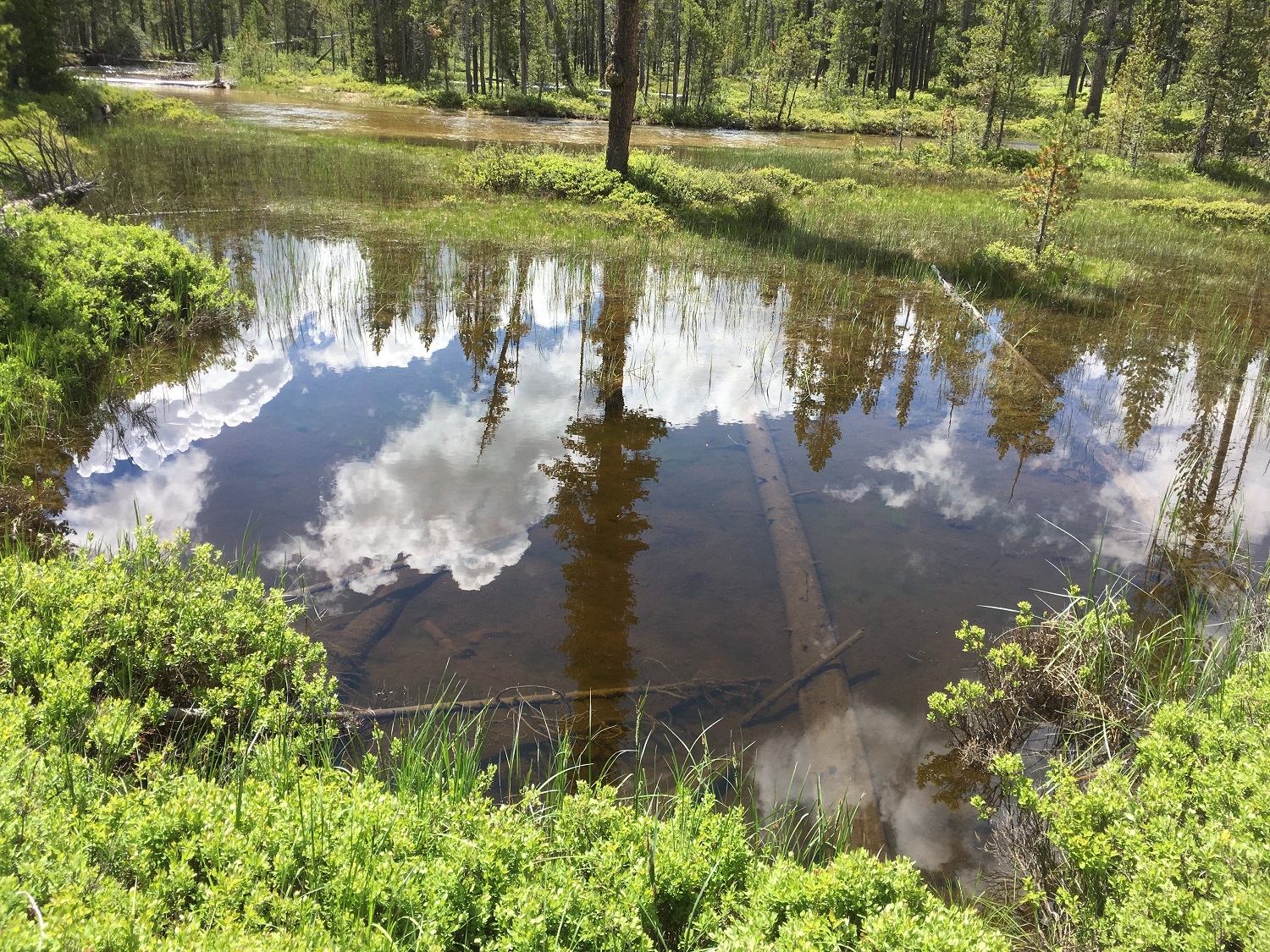 Sawtooth reflection