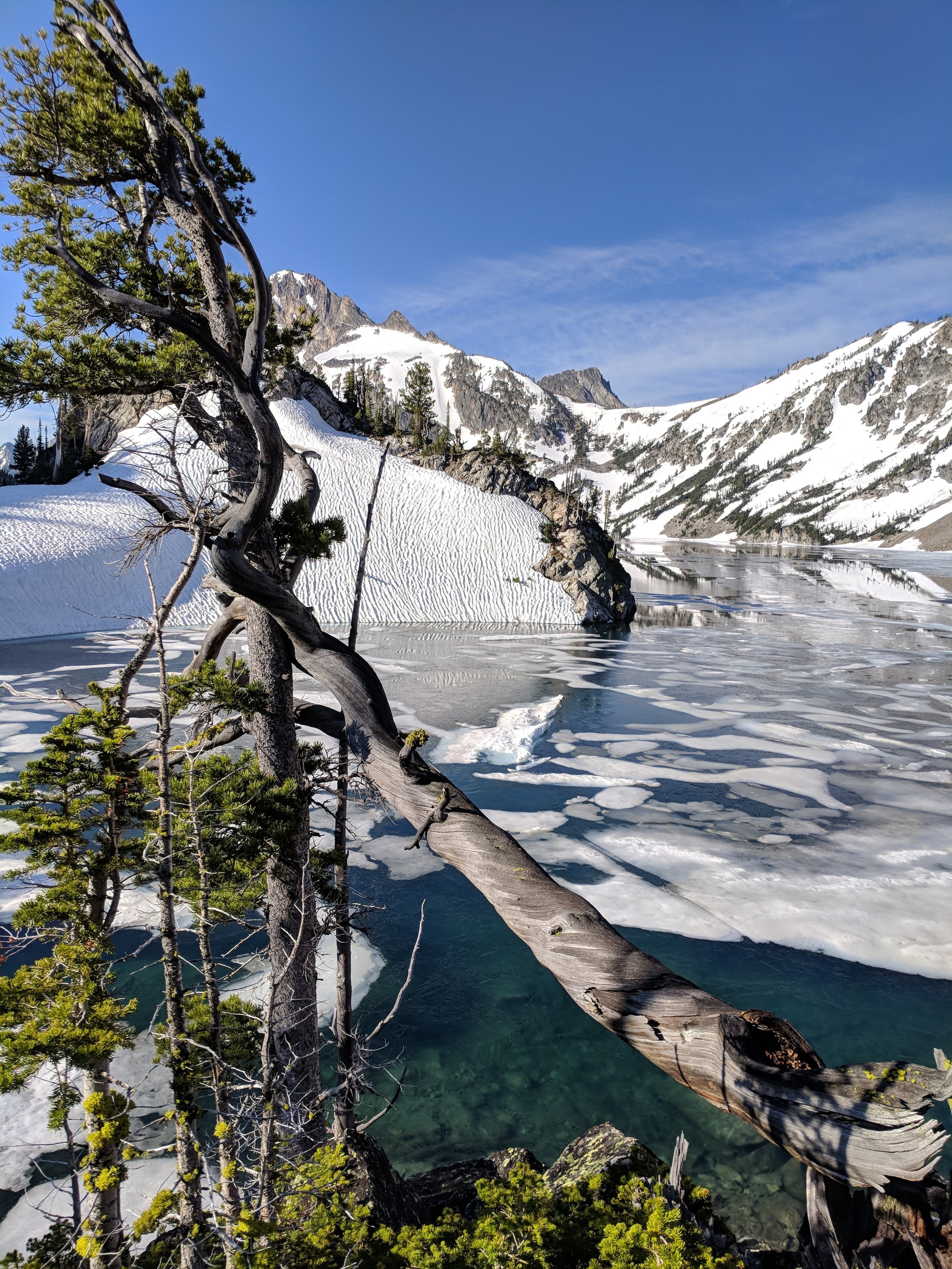 Idaho Sawtooth Mtns | June 2018