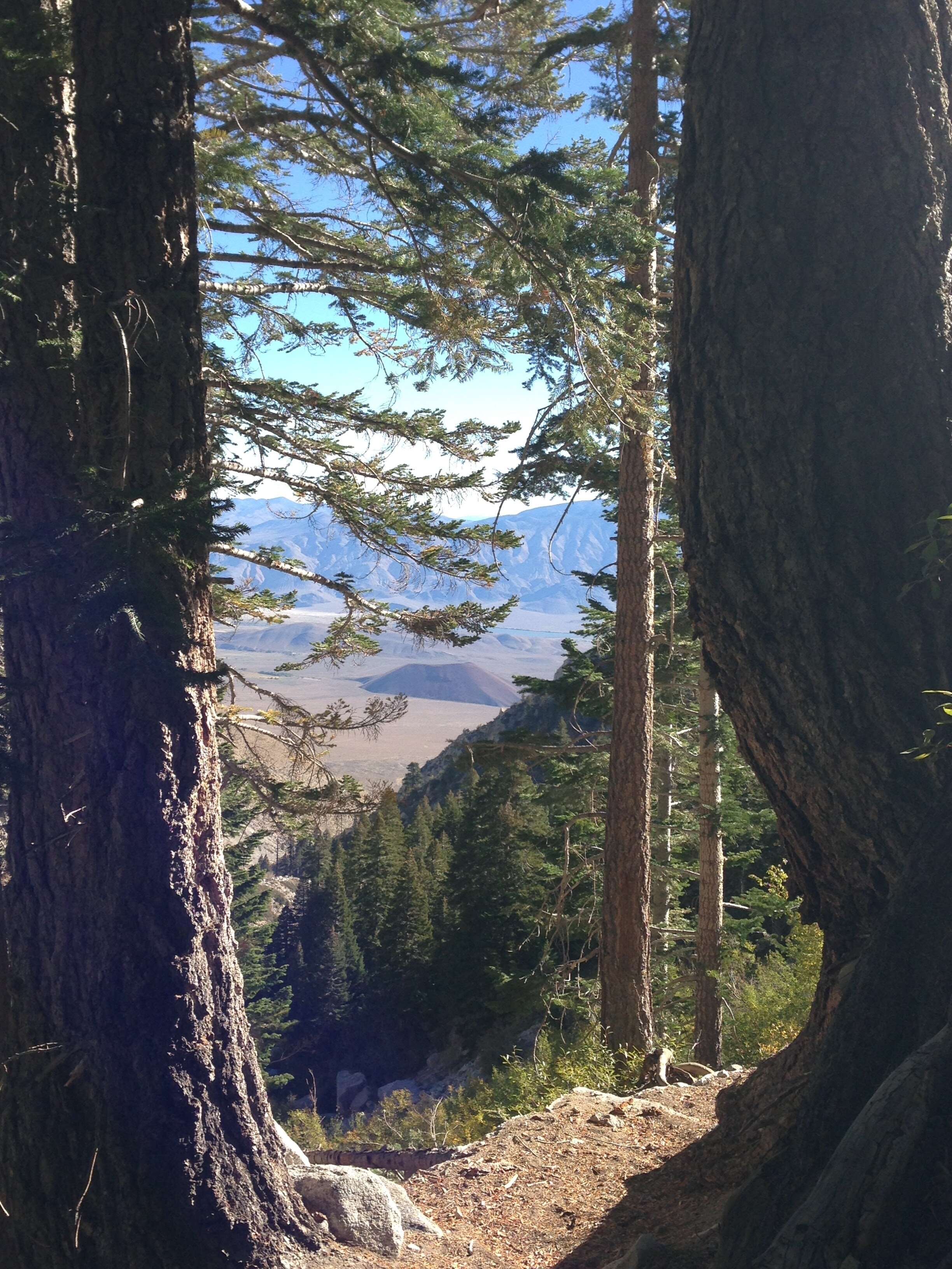 Peekaboo views of Owens Valley