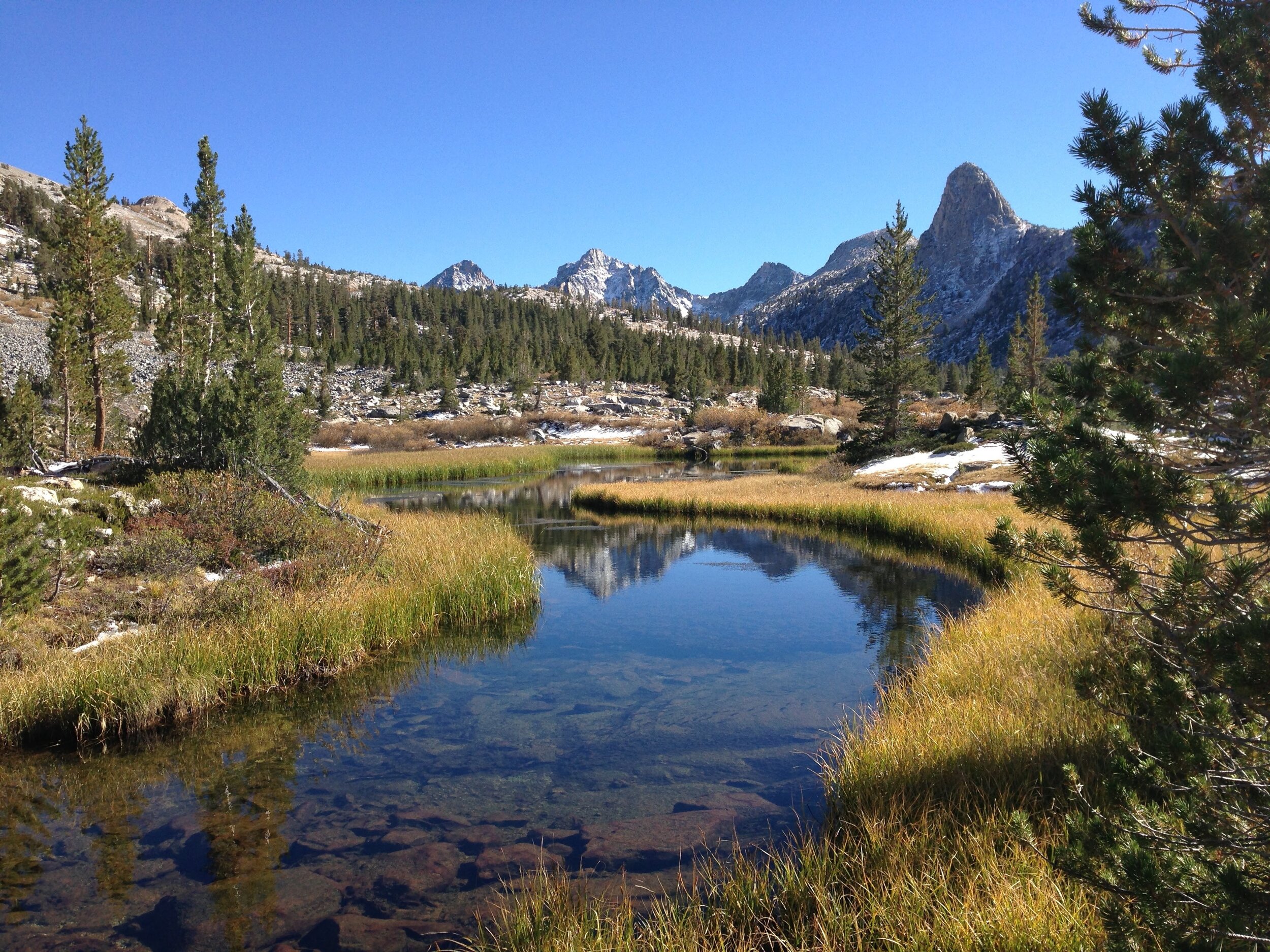 South Fork Woods Creek meadow