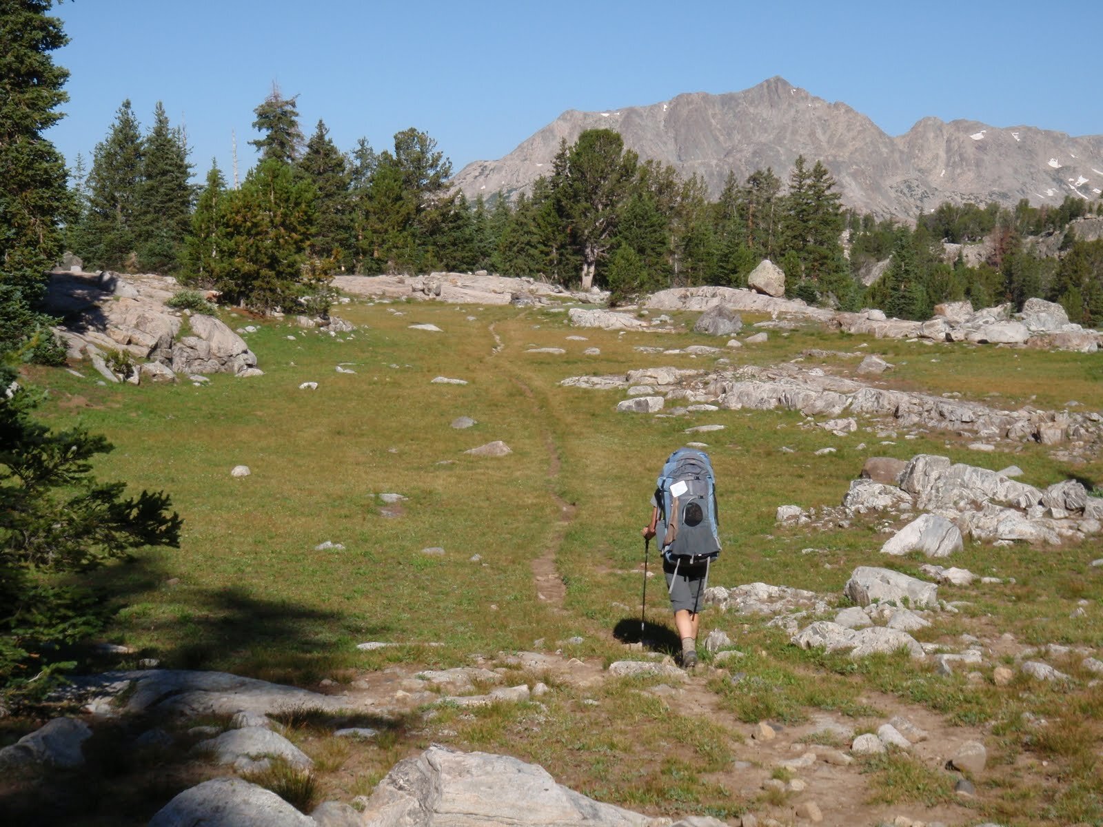 Day 6 C w pack hiking away across grassy meadow down Europe Canyon.JPG