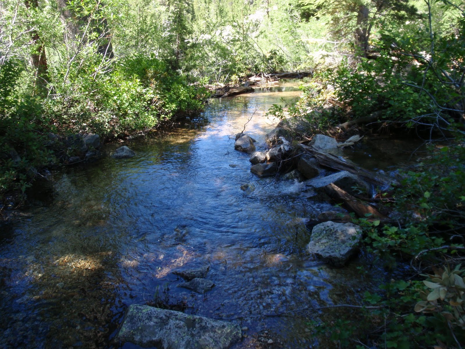 This is the trail. A little water-logged.