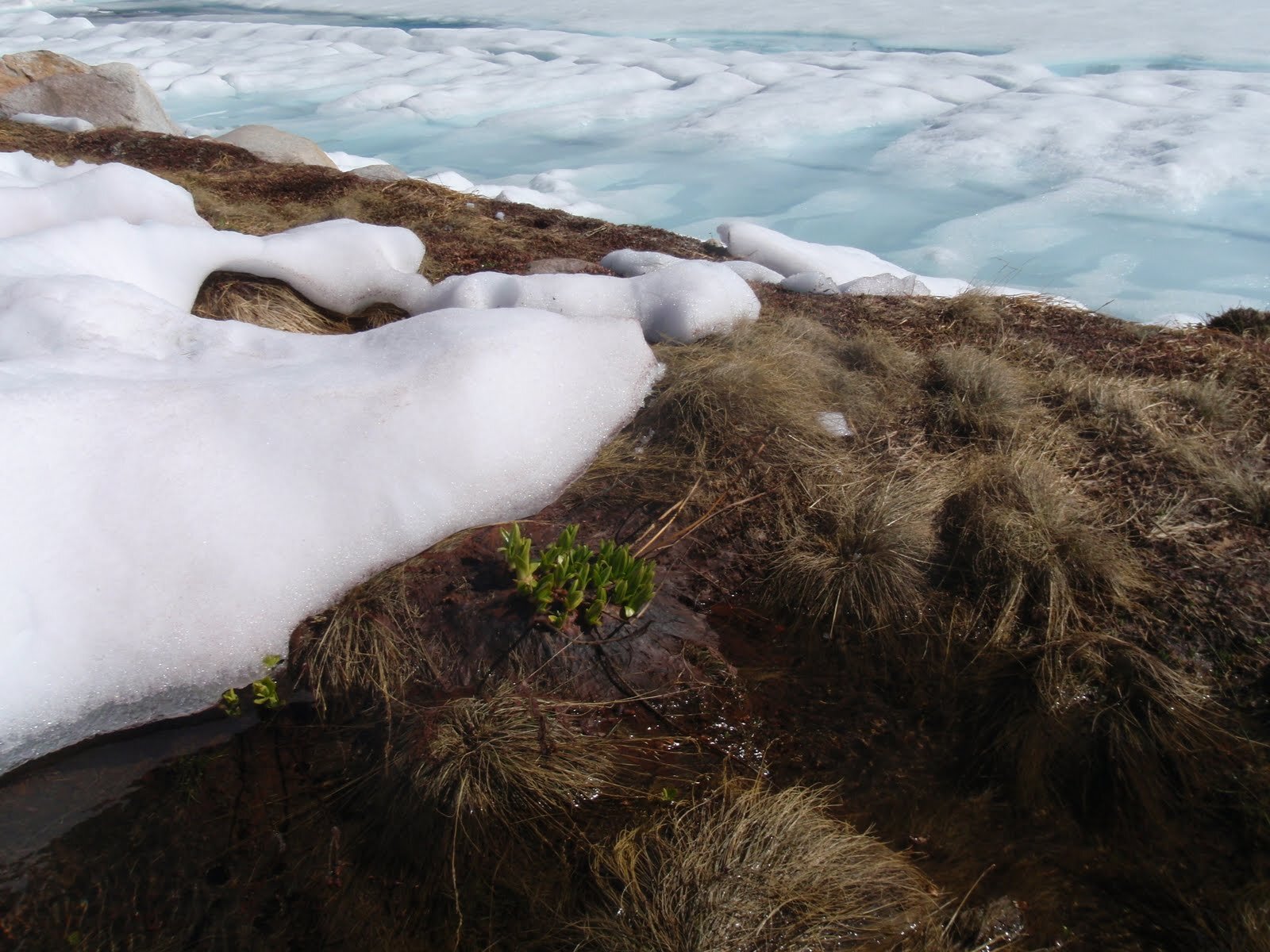 Early spring along Wanda Lk shore