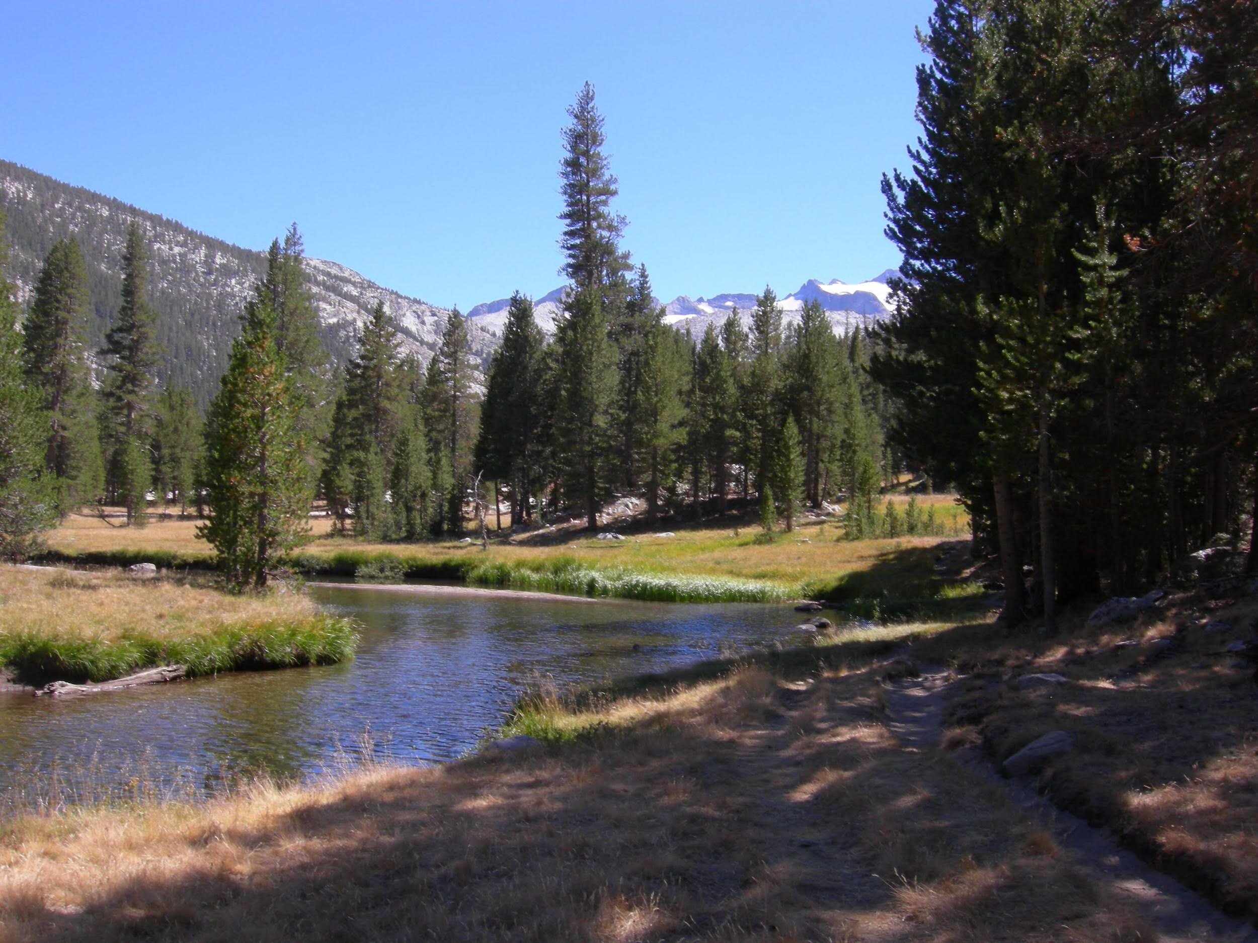Lyell Fork of the Tuolumne looking towards Donohue Pass