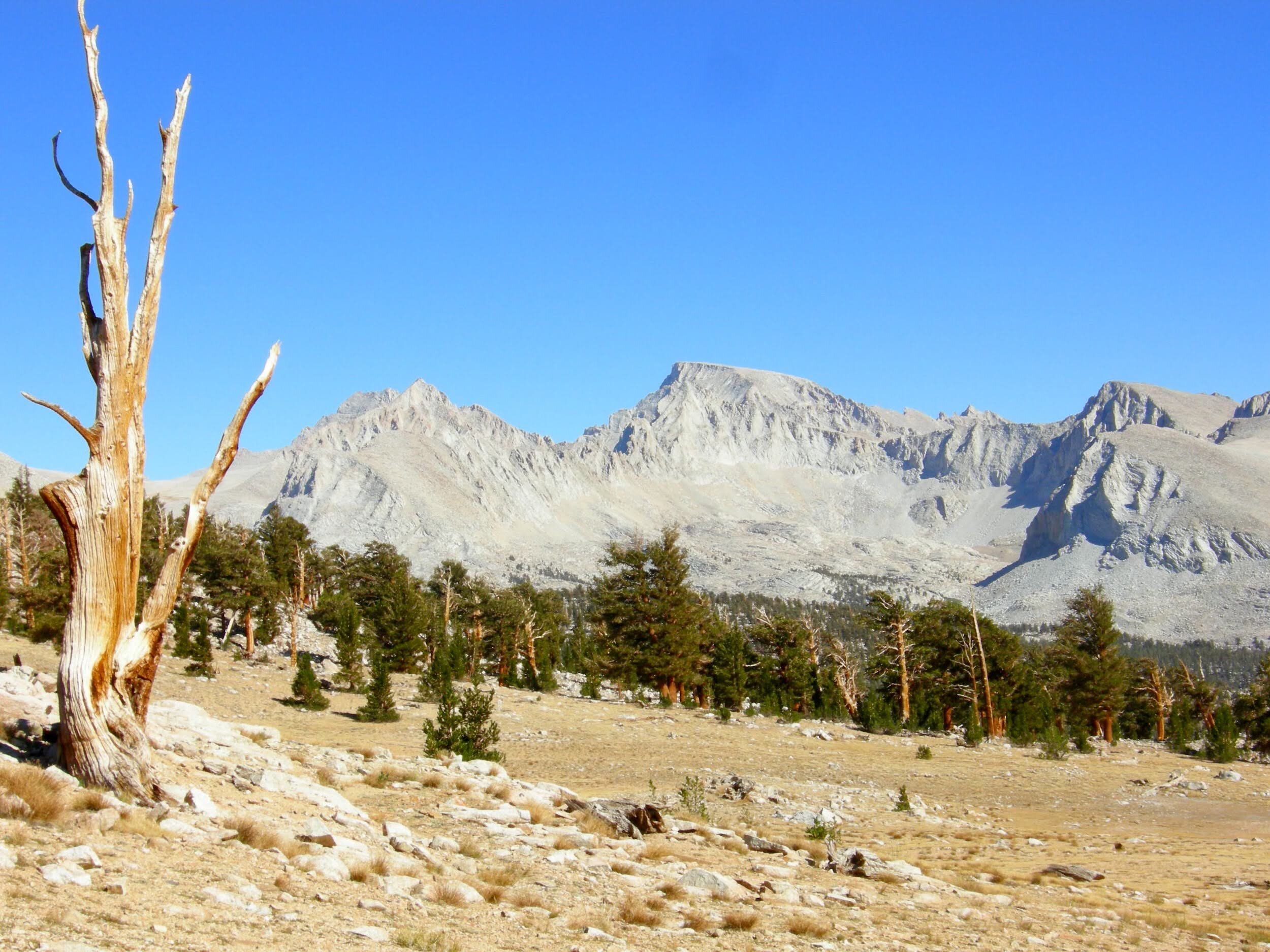 Snag and Mt. Whitney