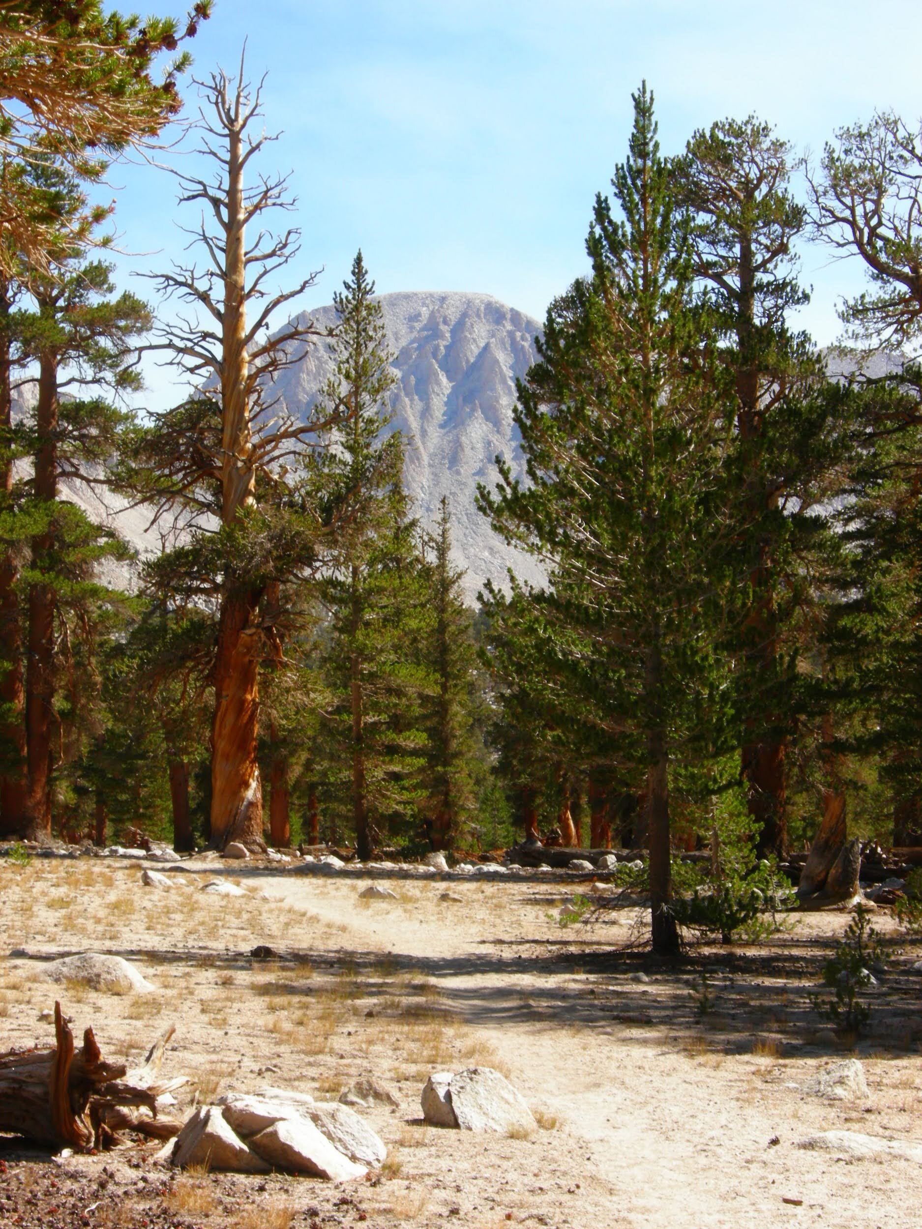 The trail heads straight to Mt. Whitney now