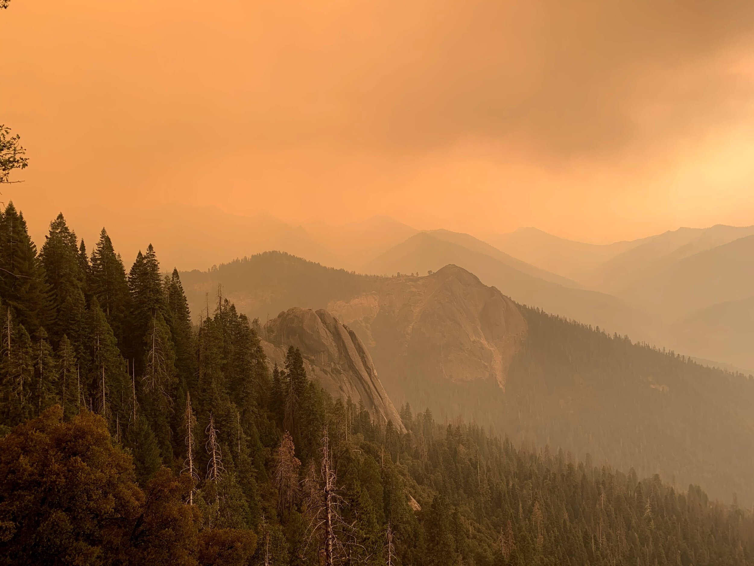 Orange skies by late afternoon