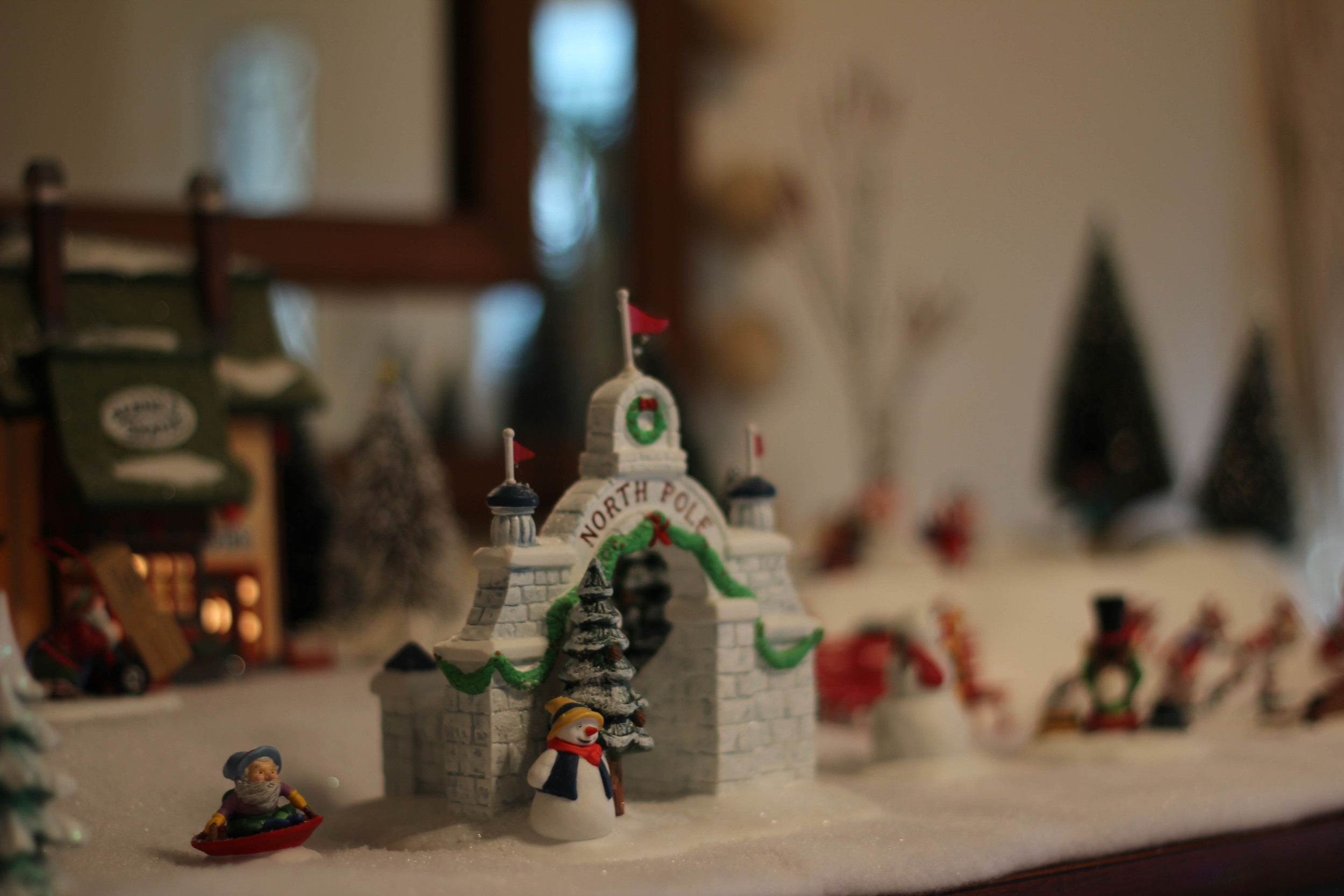 IMG_8987.jpg