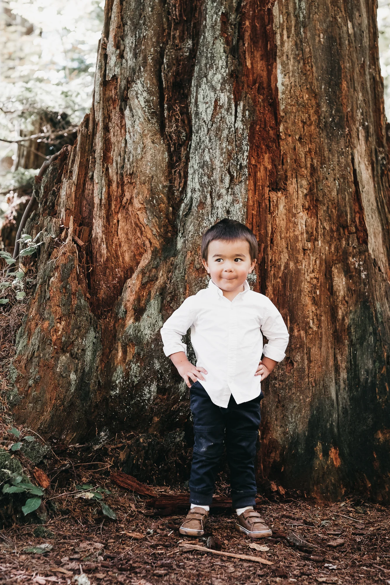 cole family photos 2018-73.jpg