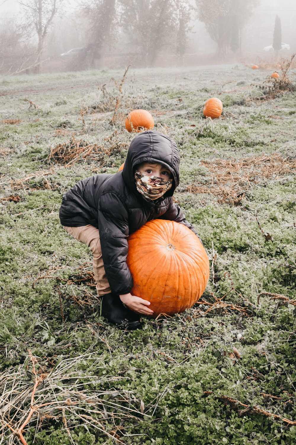 pumpkin patch 2020-6.jpg