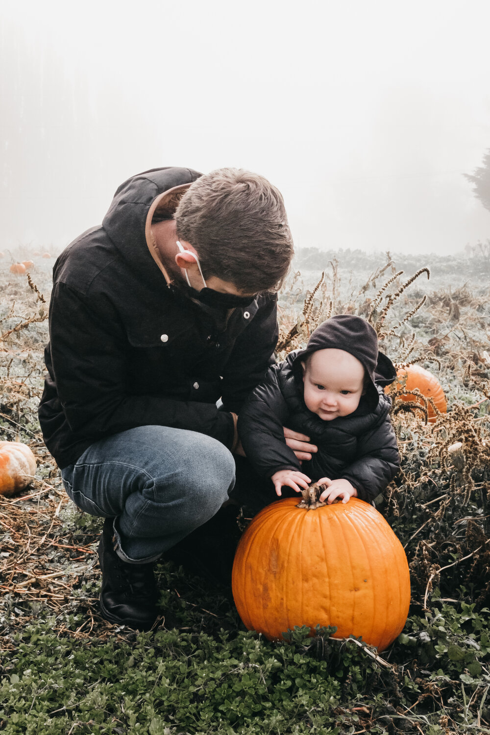 pumpkin patch 2020-7.jpg