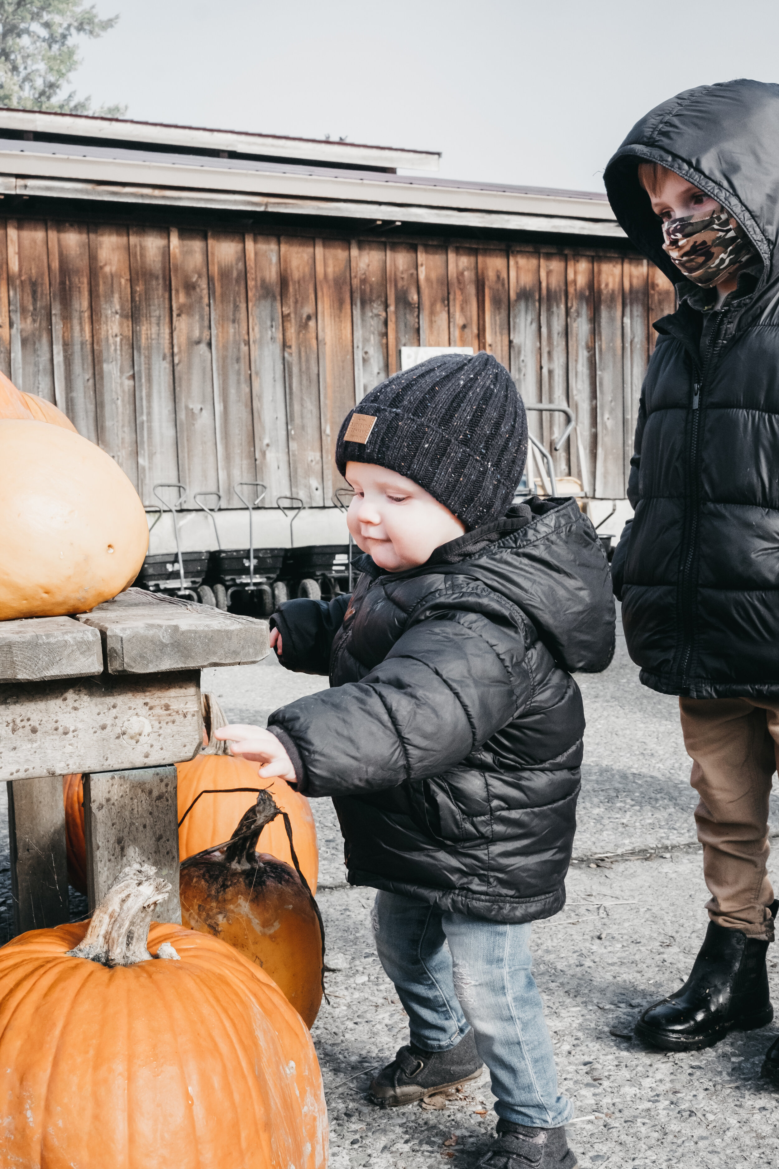 pumpkin patch 2020-22.jpg