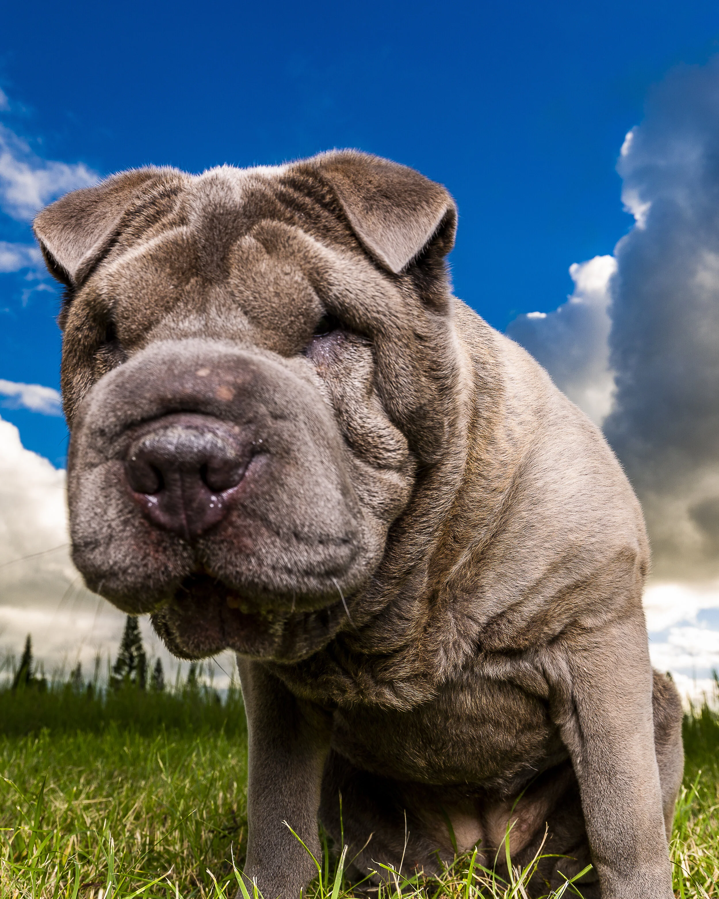 Marketing images-5.jpg