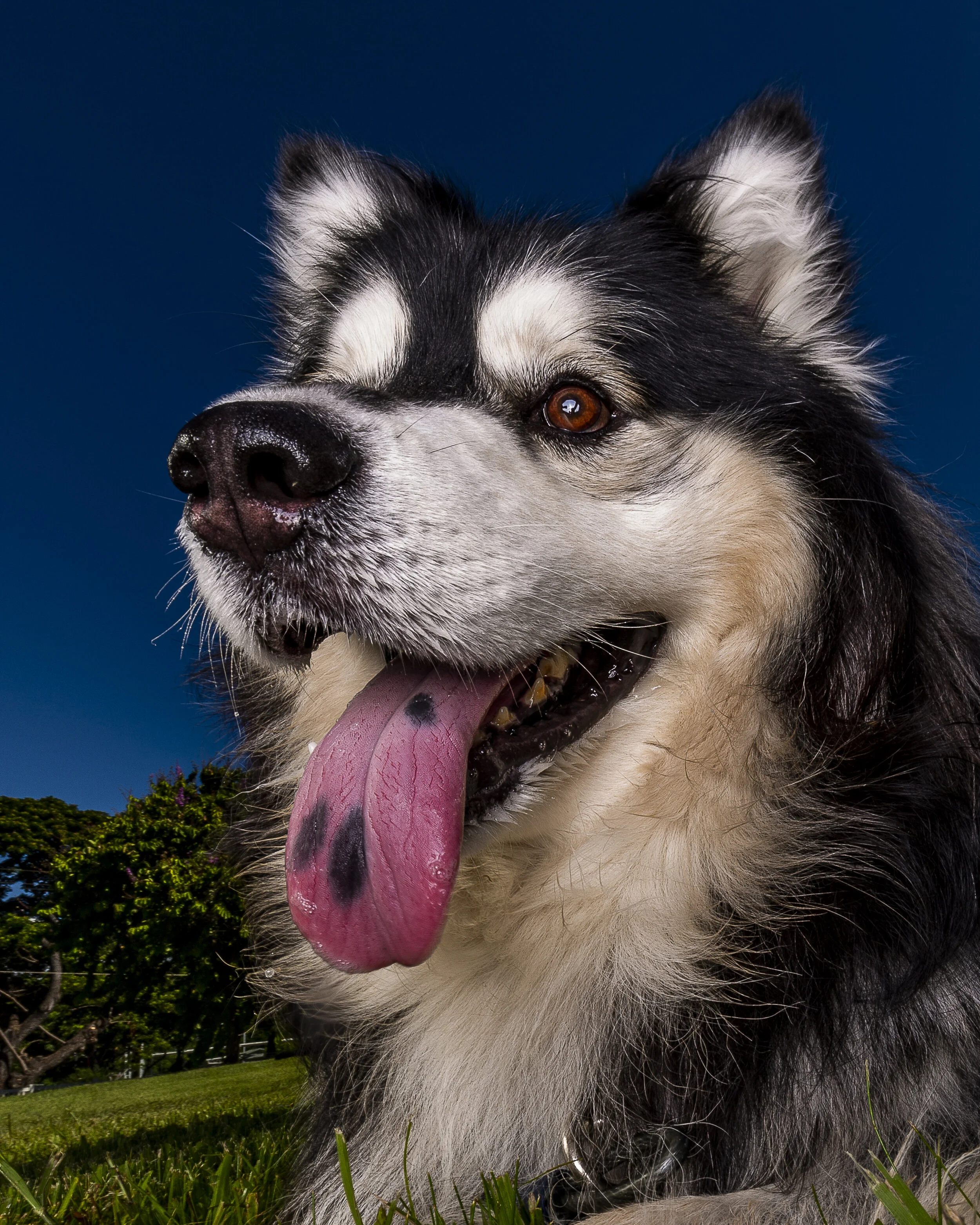 Marketing images-3.jpg