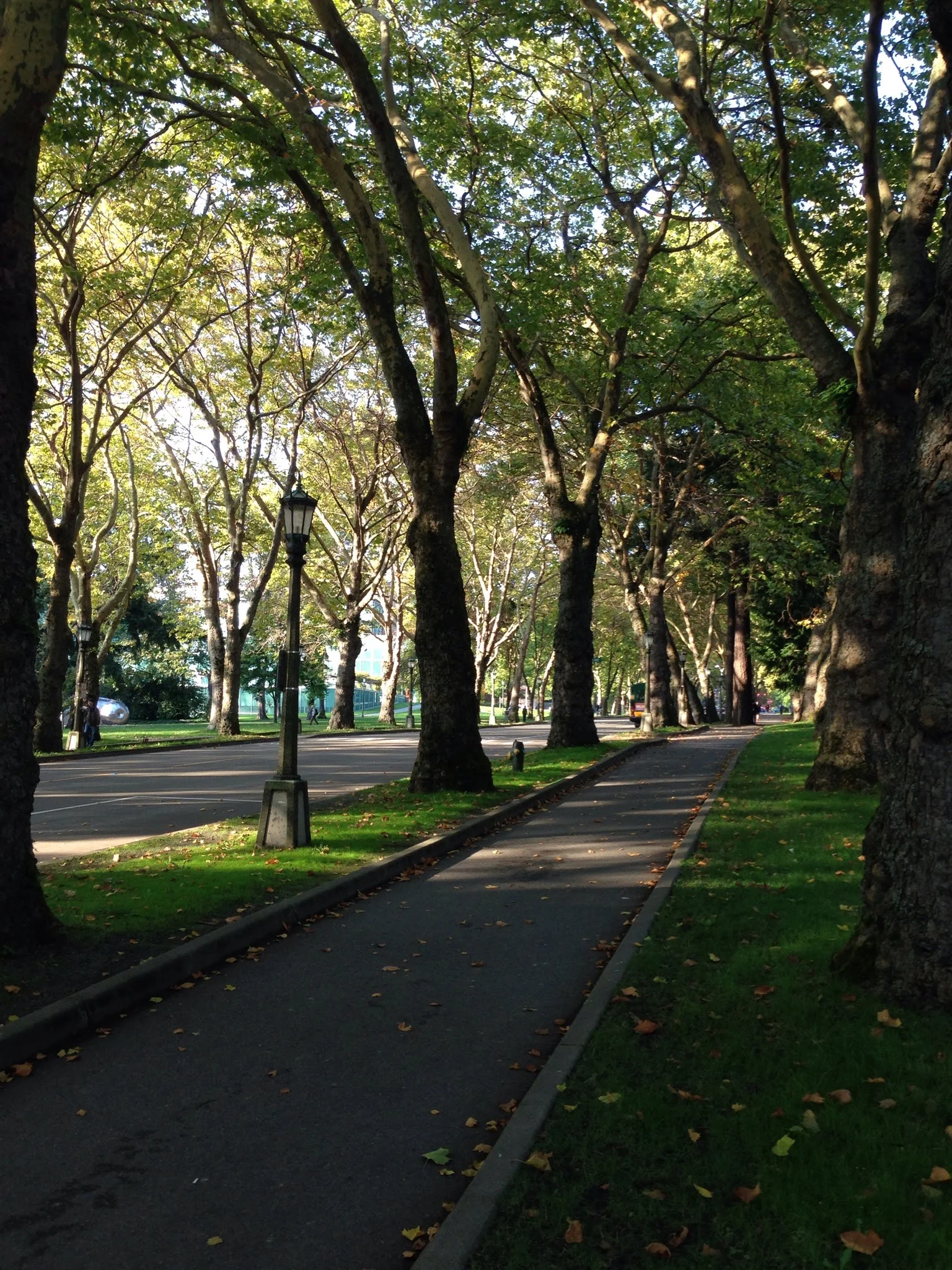 UWashington078.jpg