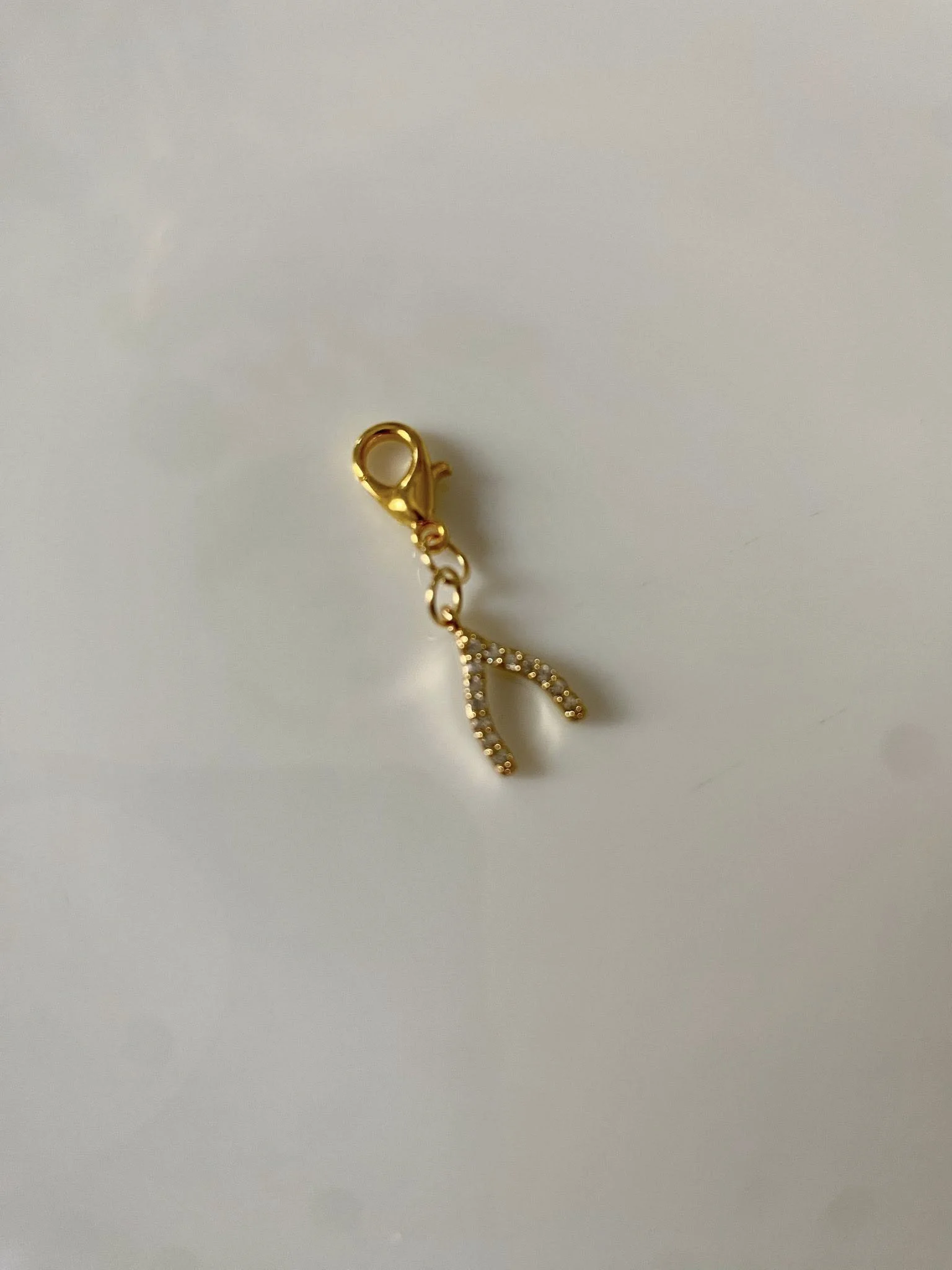 wishbone charm.jpg