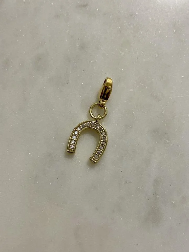 horseshoe charm.jpg