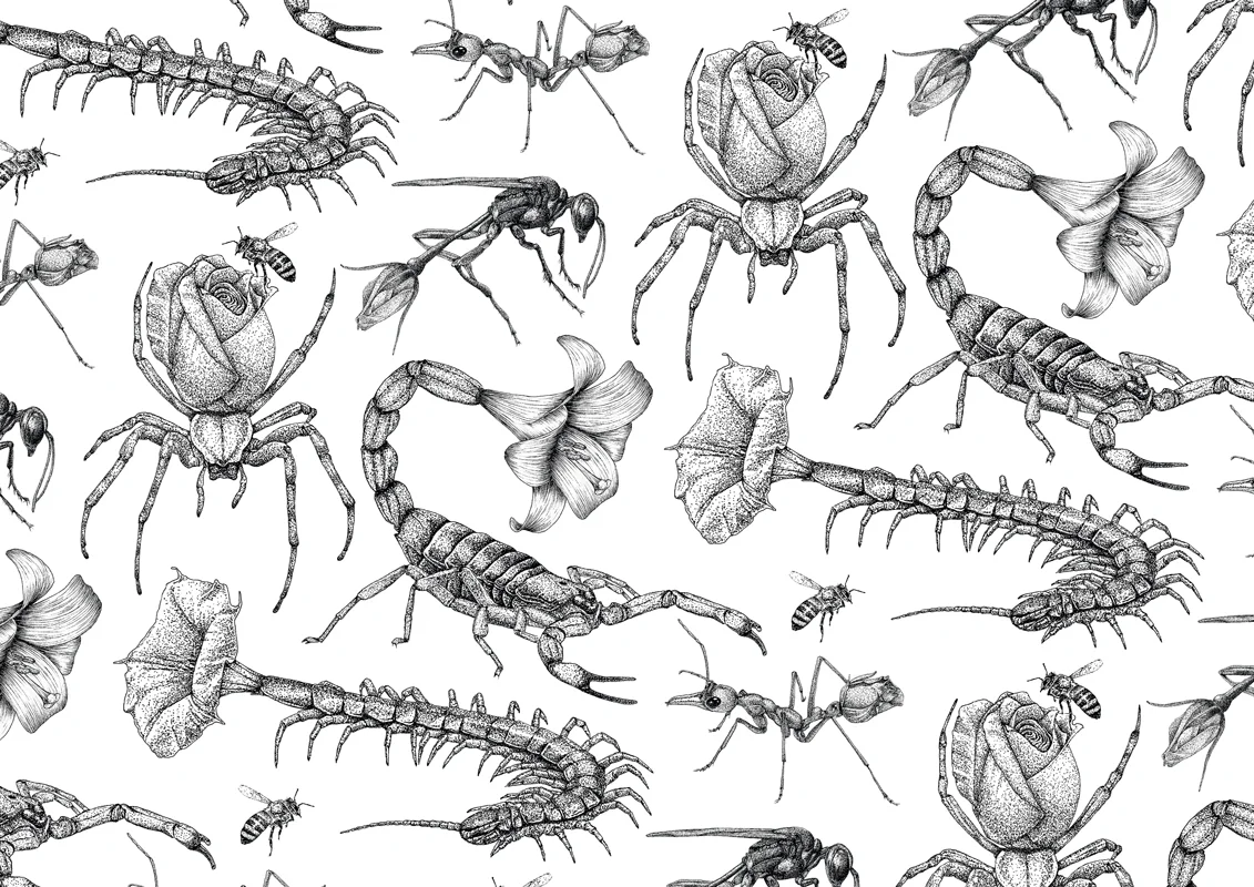 Stingers2.jpg