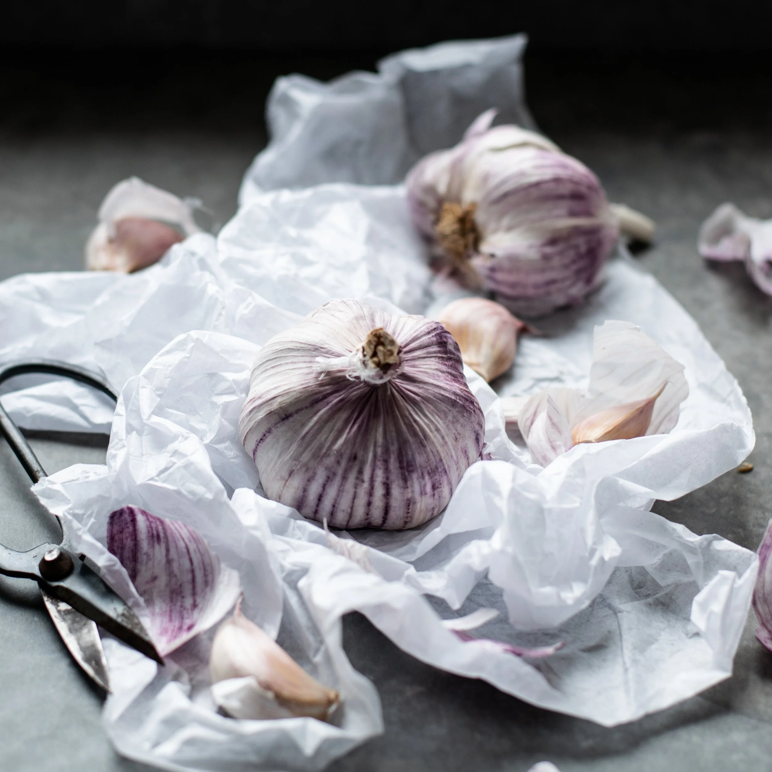monika-grabkowska-1176178-unsplash+%281%29.jpg