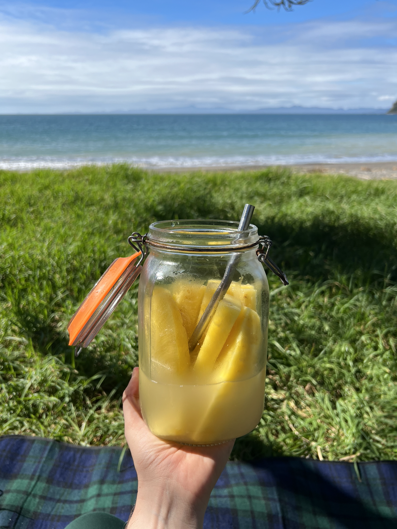 Screenshot 2026-02-03 at 1.24.18 pm.png