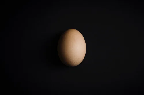 MichalGrosickiEgg500.jpg