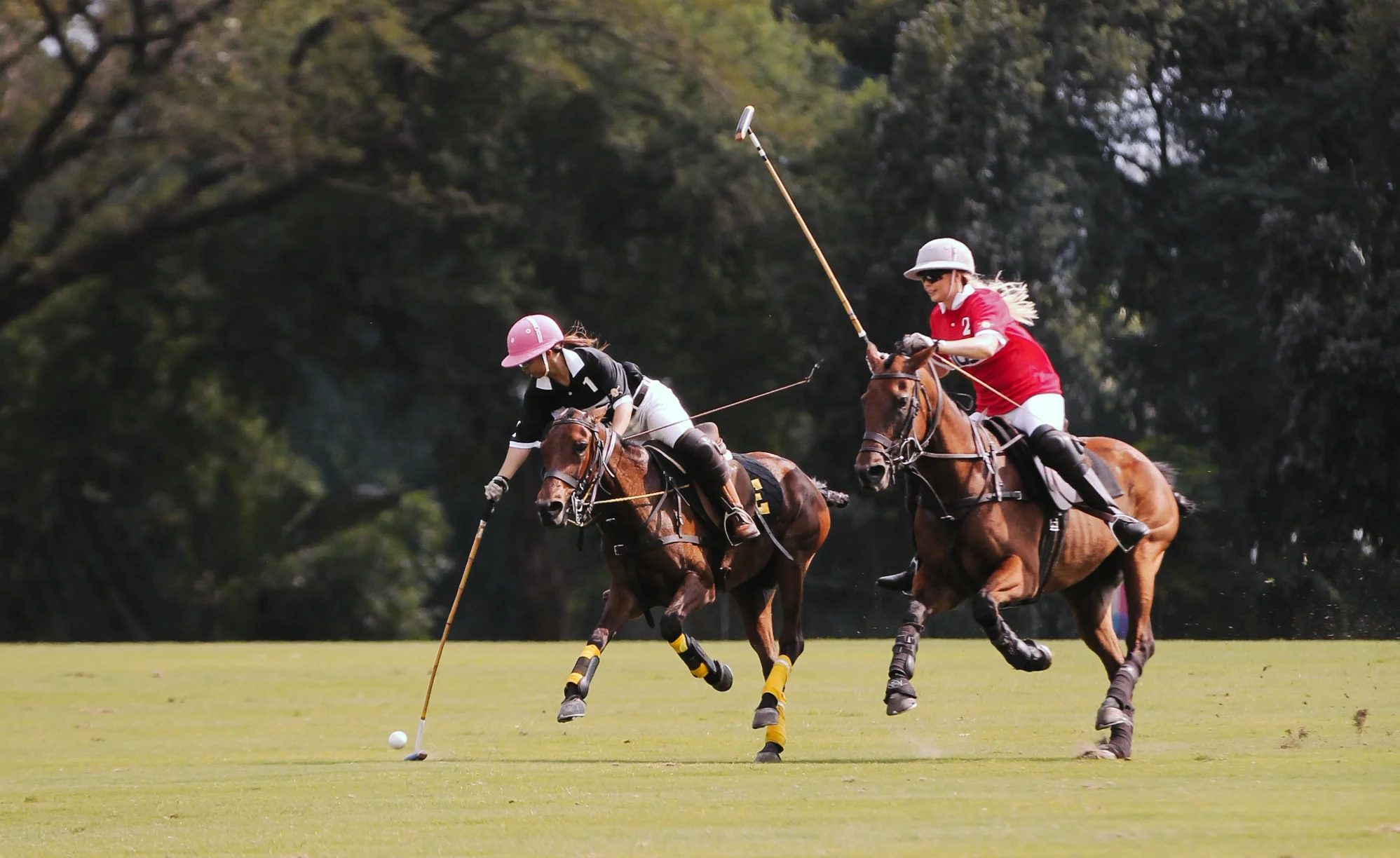 FILA Polo Cup 2017_Low Goal-10.jpg