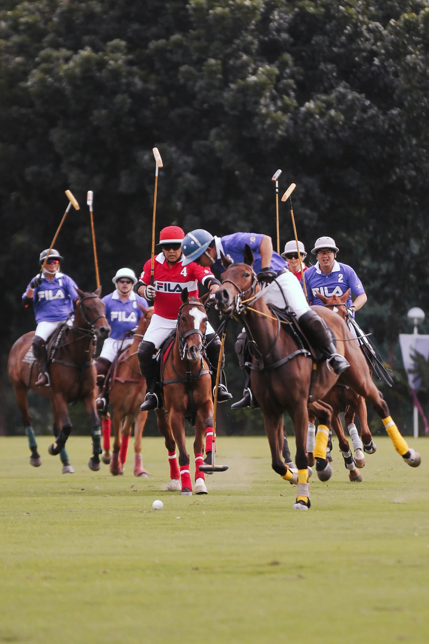 FILA Polo Cup 2017_Low Goal-19.jpg