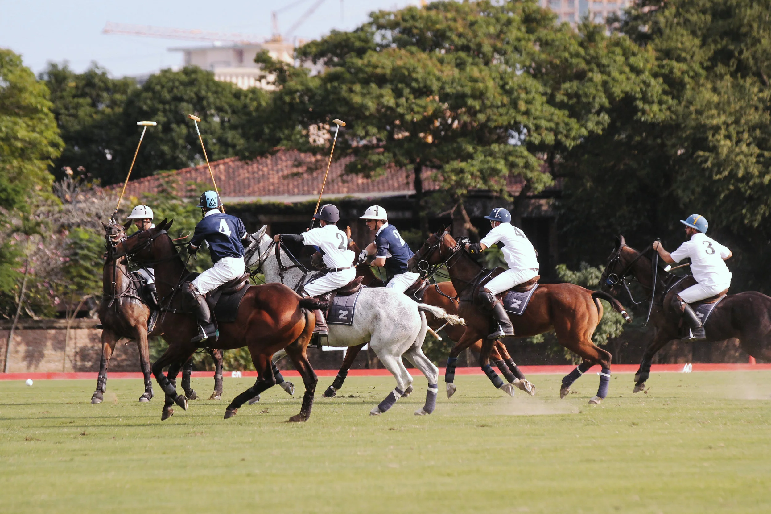 FILA Polo Cup 2017_High Goal-1.jpg