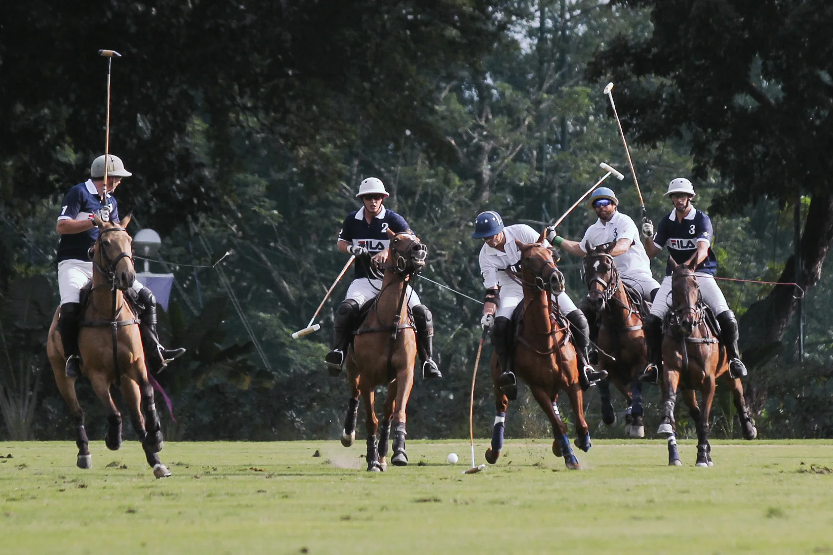 FILA Polo Cup 2017_High Goal-12.jpg