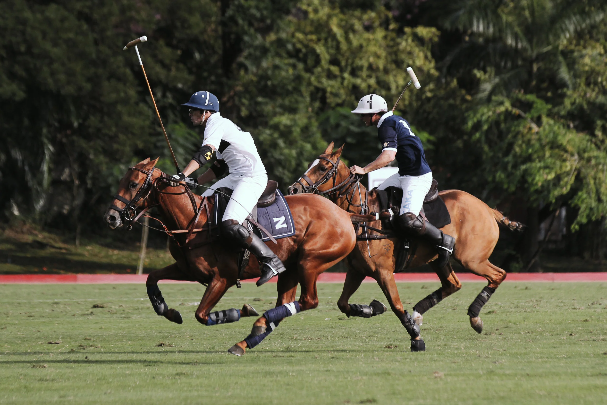 FILA Polo Cup 2017_High Goal-14.jpg