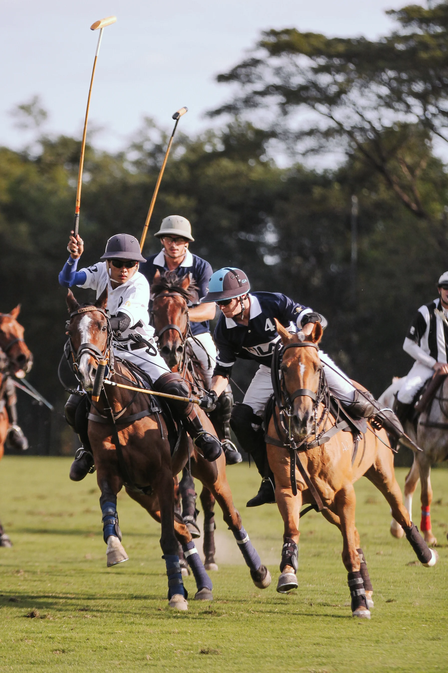 FILA Polo Cup 2017_High Goal-35.jpg