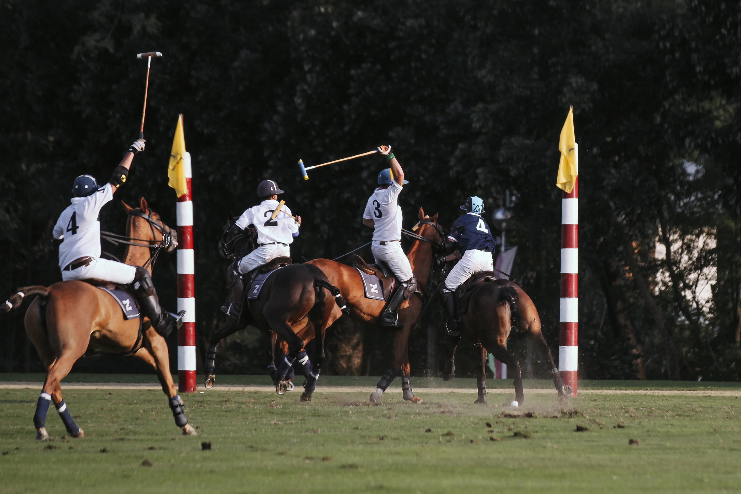 FILA Polo Cup 2017_High Goal-55.jpg