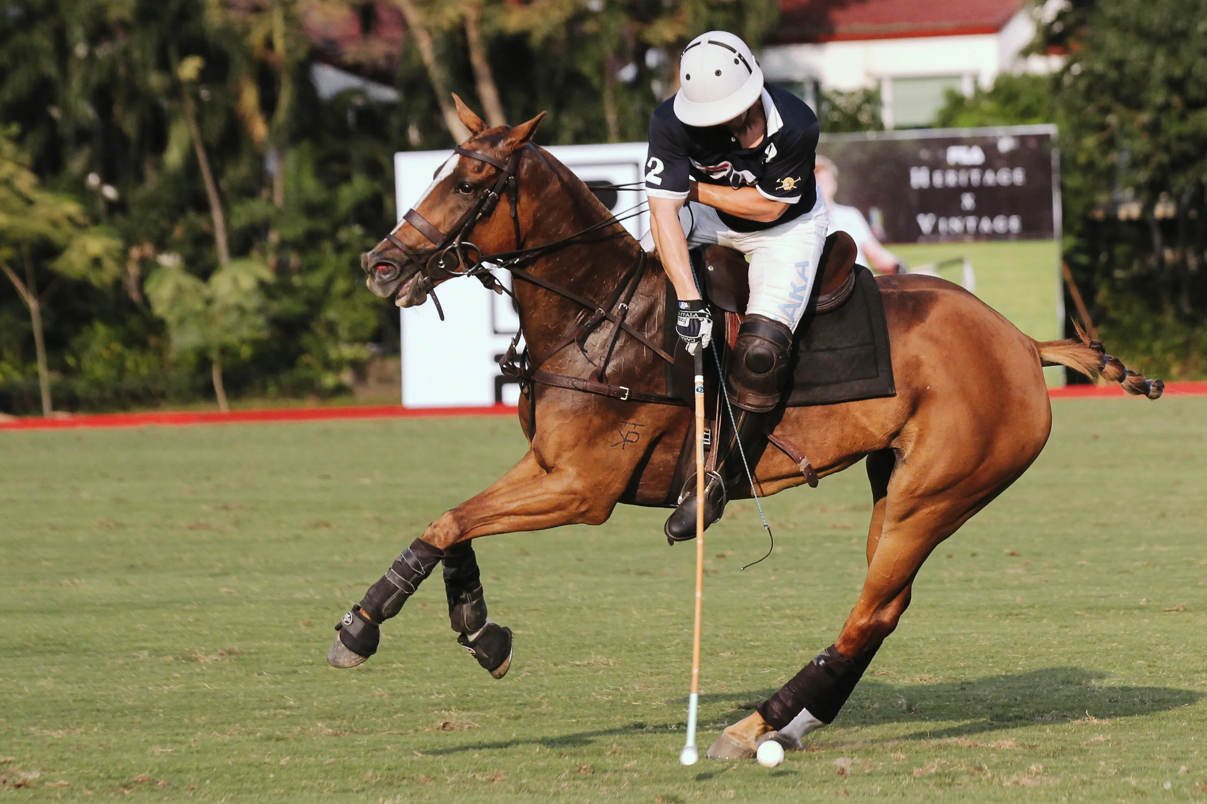 FILA Polo Cup 2017_High Goal-58.jpg