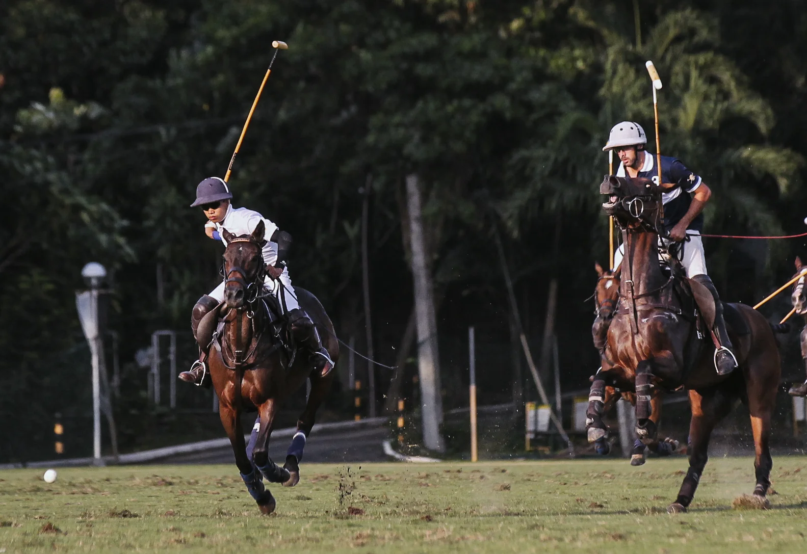 FILA Polo Cup 2017_High Goal-62.jpg