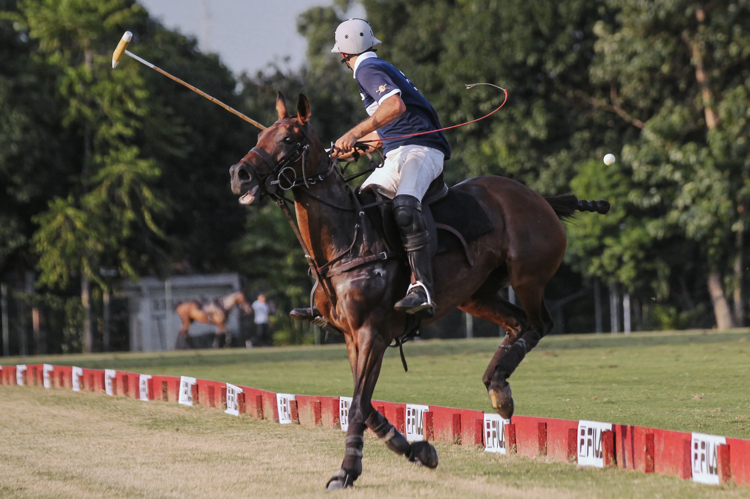 FILA Polo Cup 2017_High Goal-67.jpg