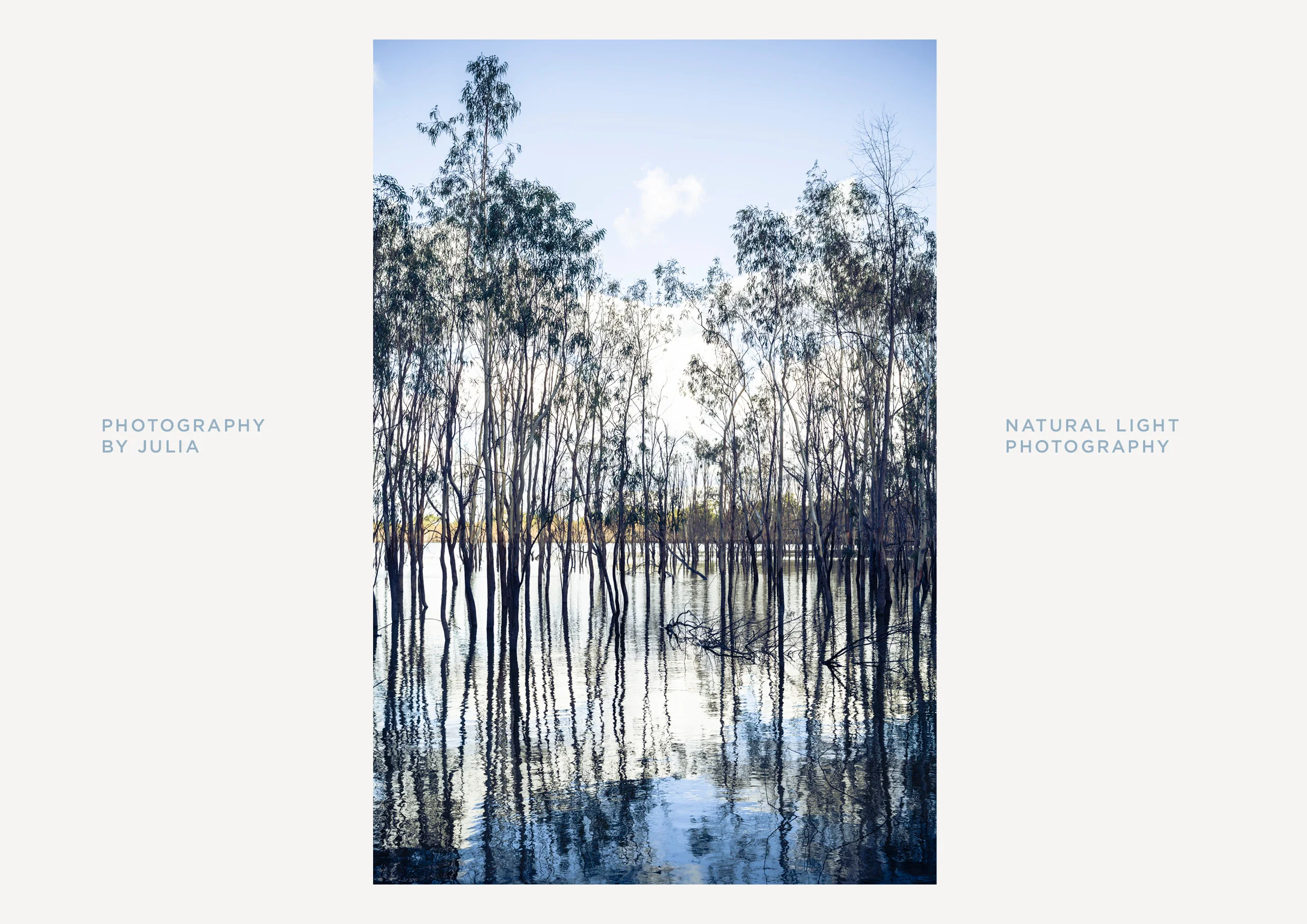 Julia Nageo_layouts_014.jpg